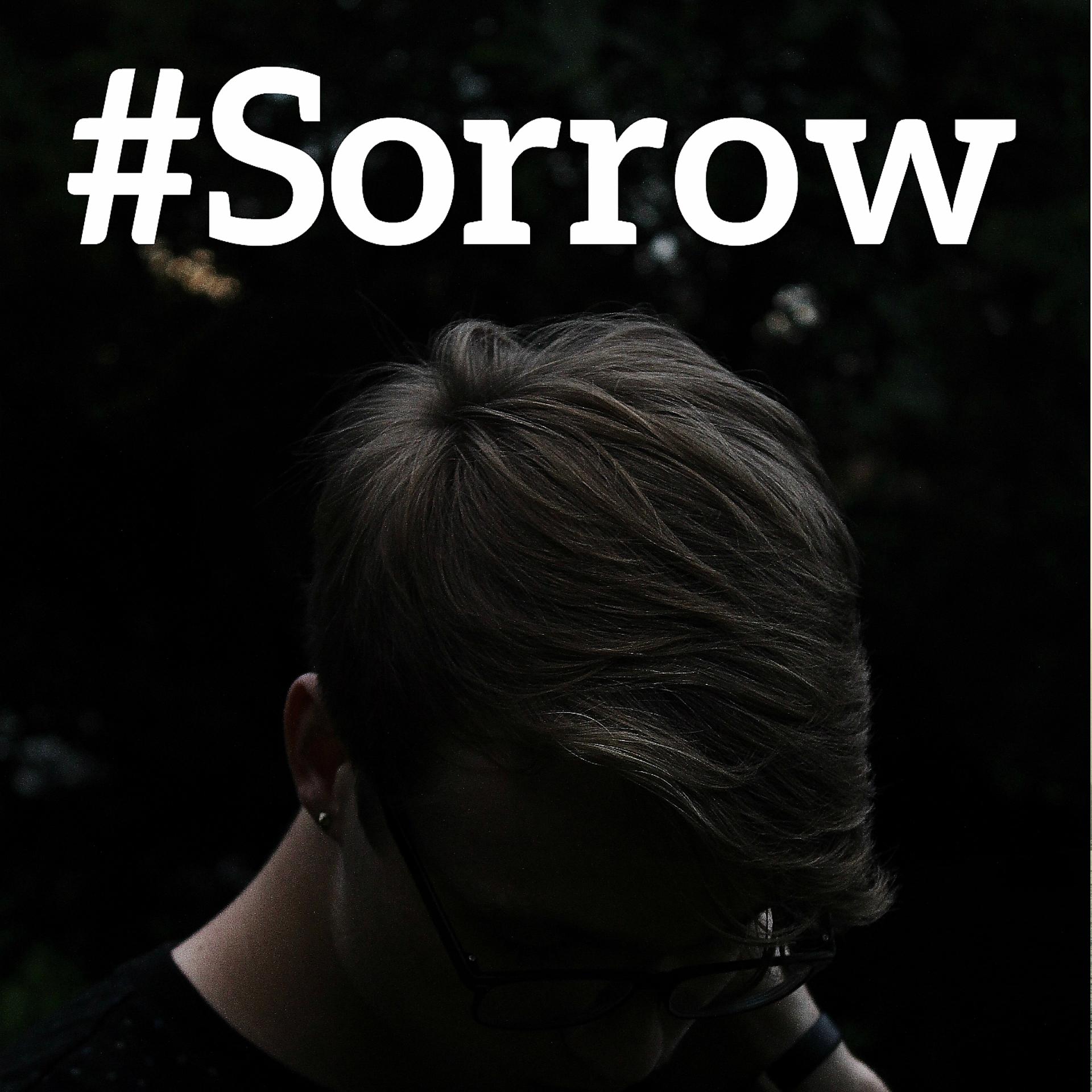 Постер альбома #Sorrow