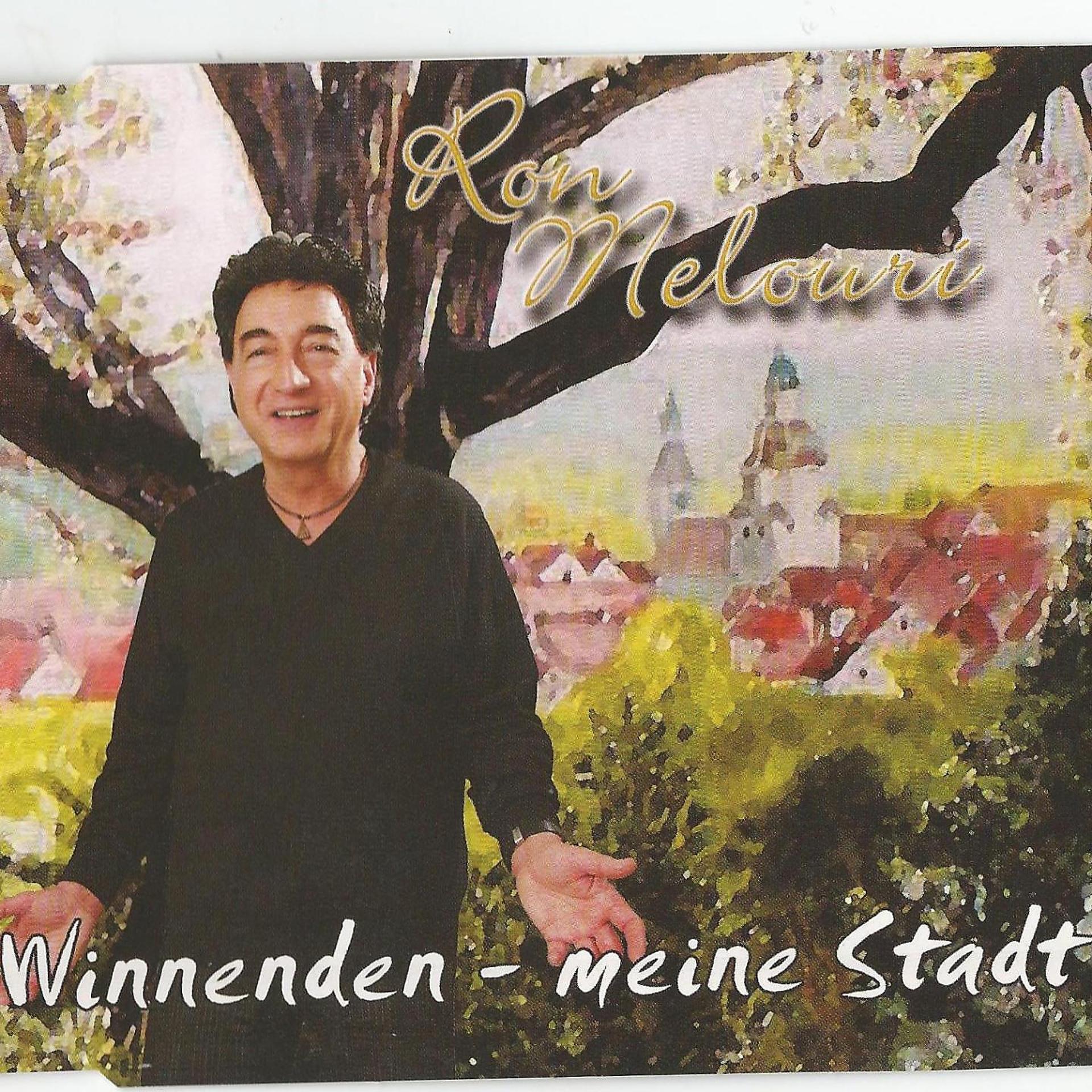 Постер альбома Winnenden - meine Stadt