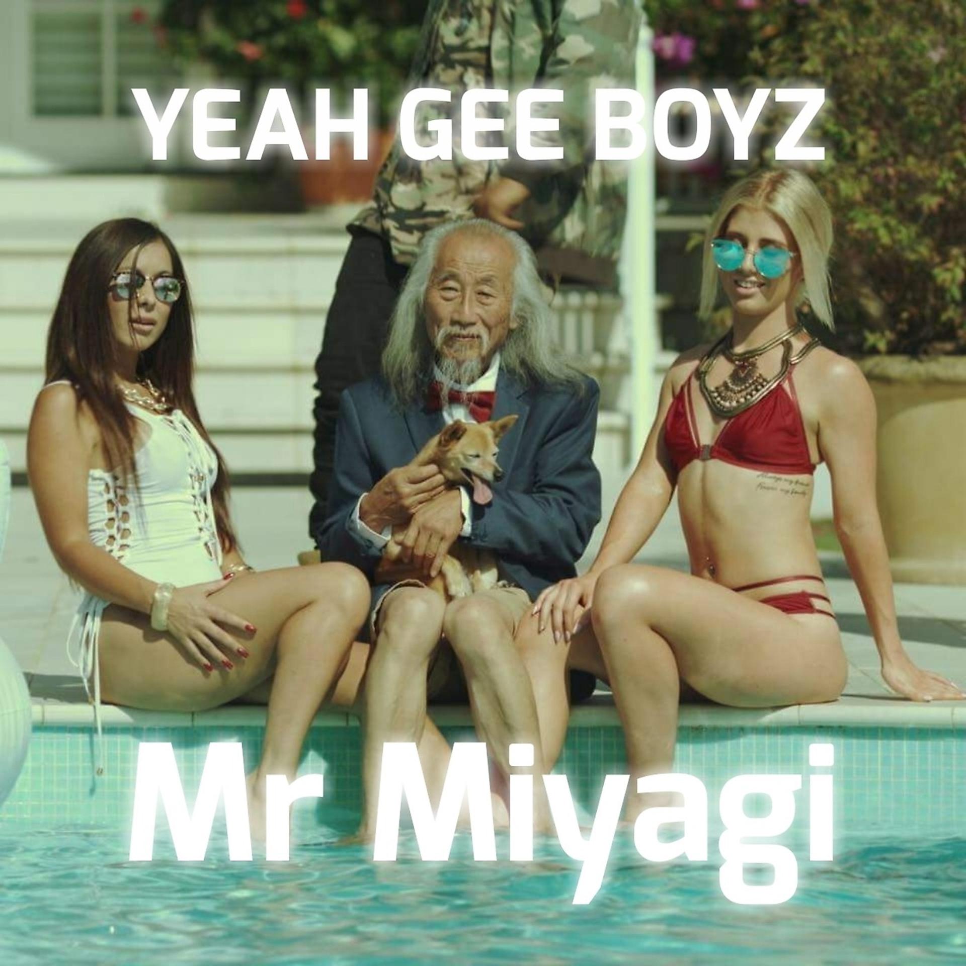 Постер альбома Mr Miyagi
