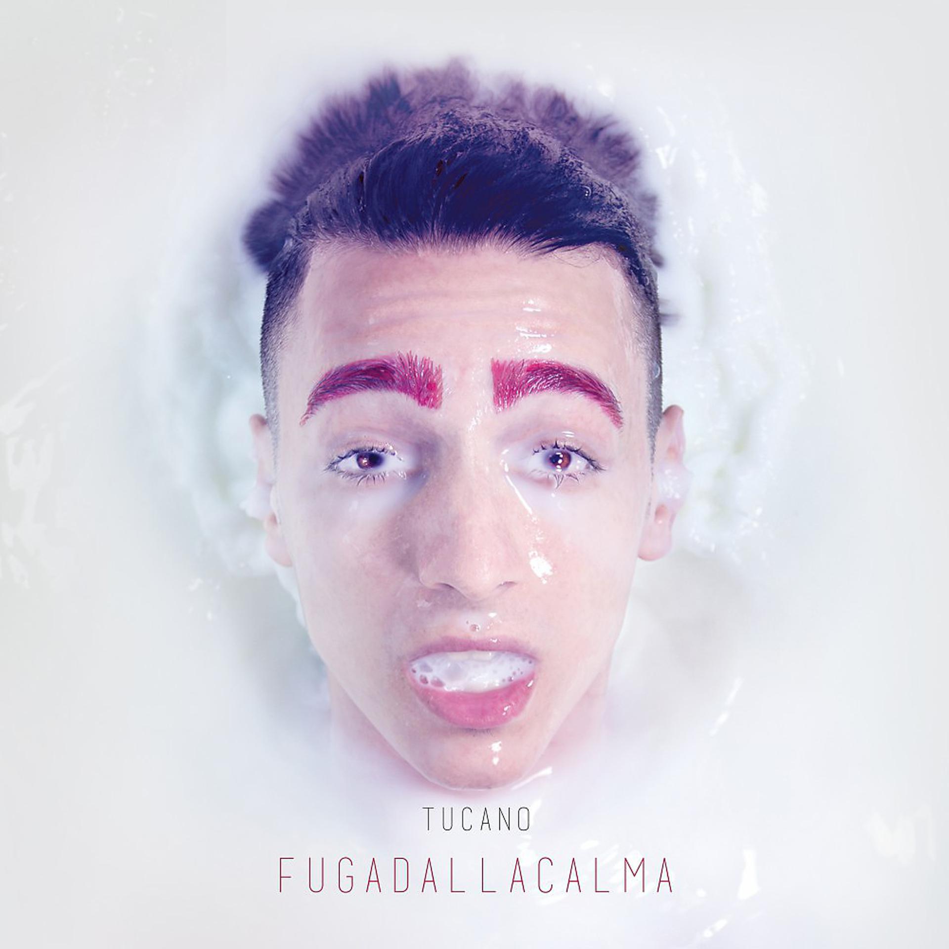 Постер альбома Fuga dalla calma