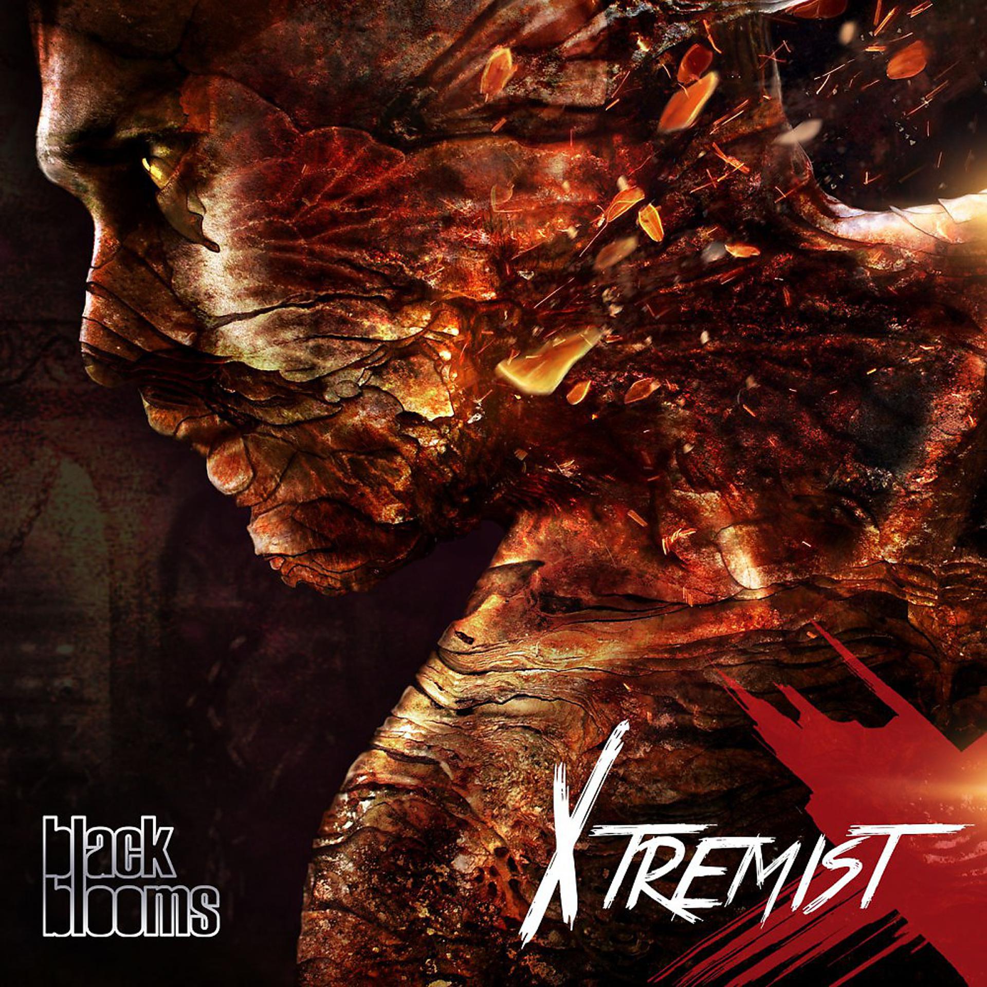 Постер альбома Xtremist