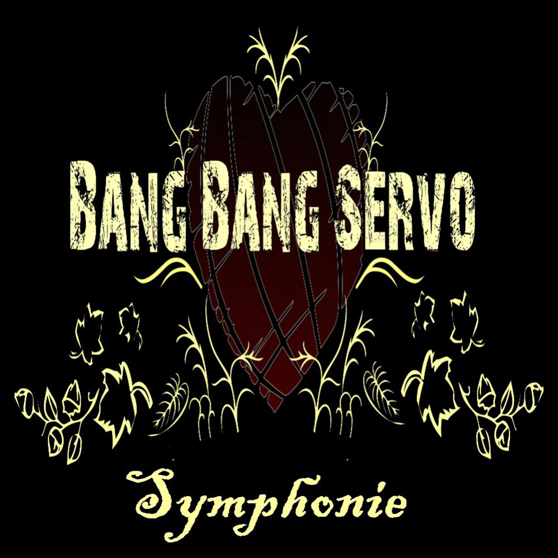 Постер альбома Symphonie