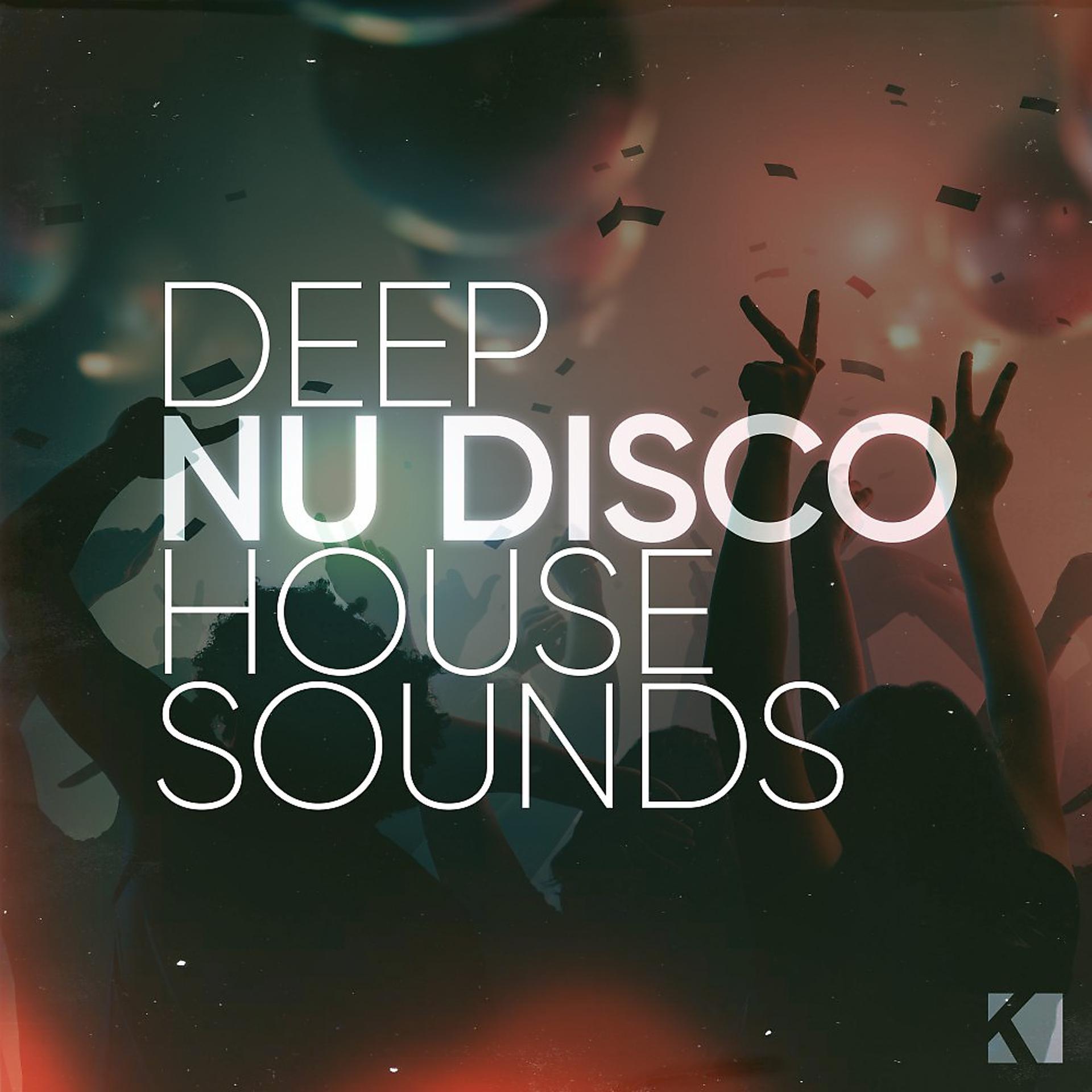Постер альбома Deep Nu Disco House Sounds