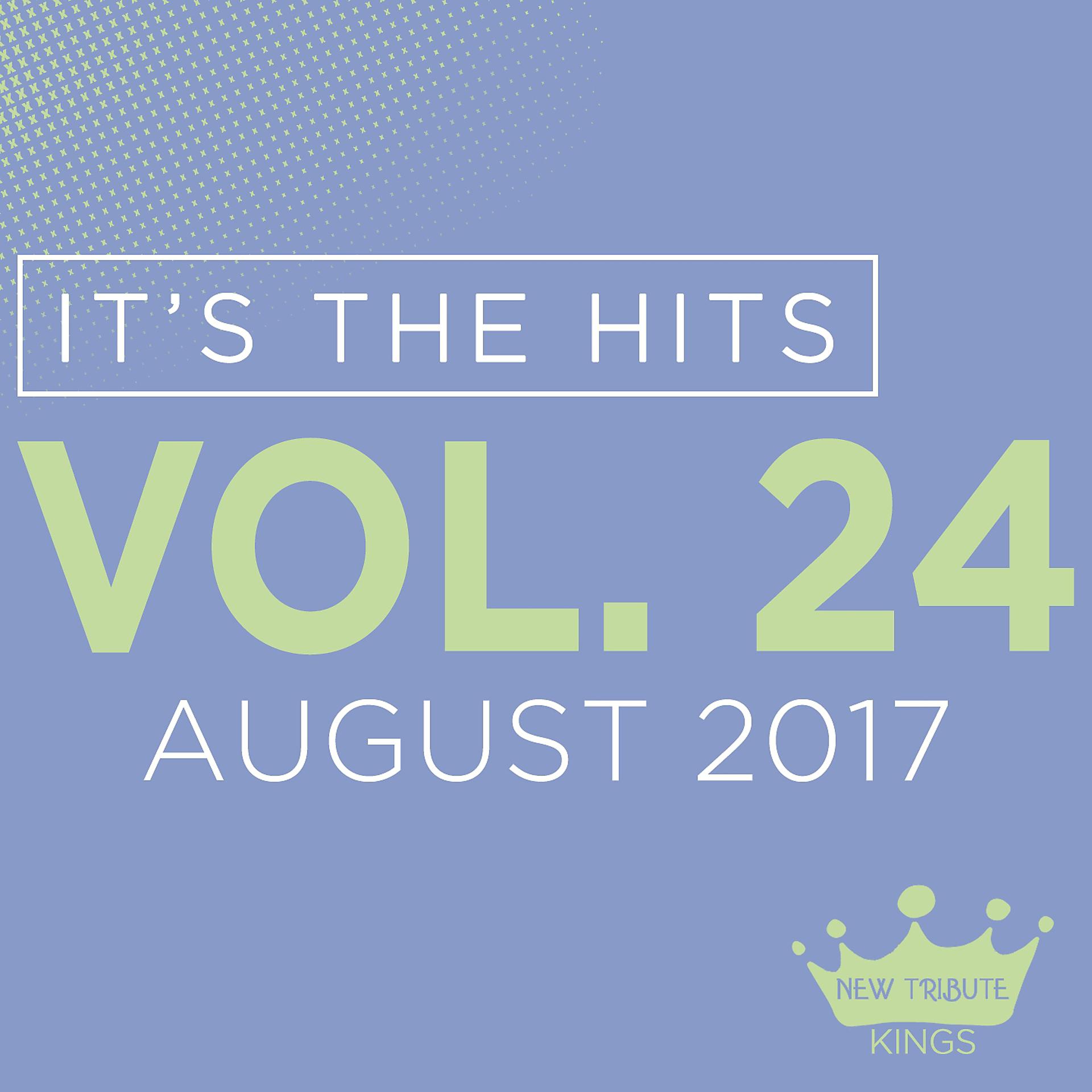 Постер альбома It's the Hits! 2017, Vol.24