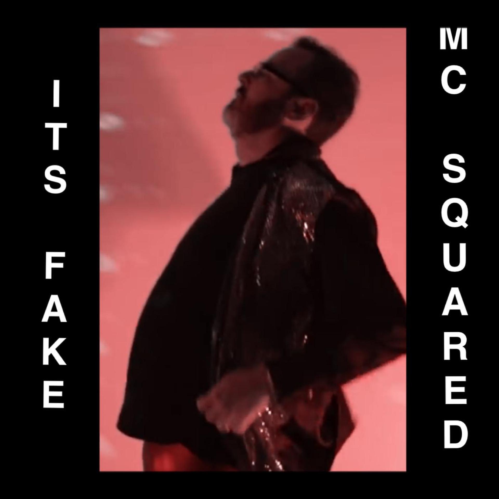 Постер альбома It's Fake (feat. MC Squared)