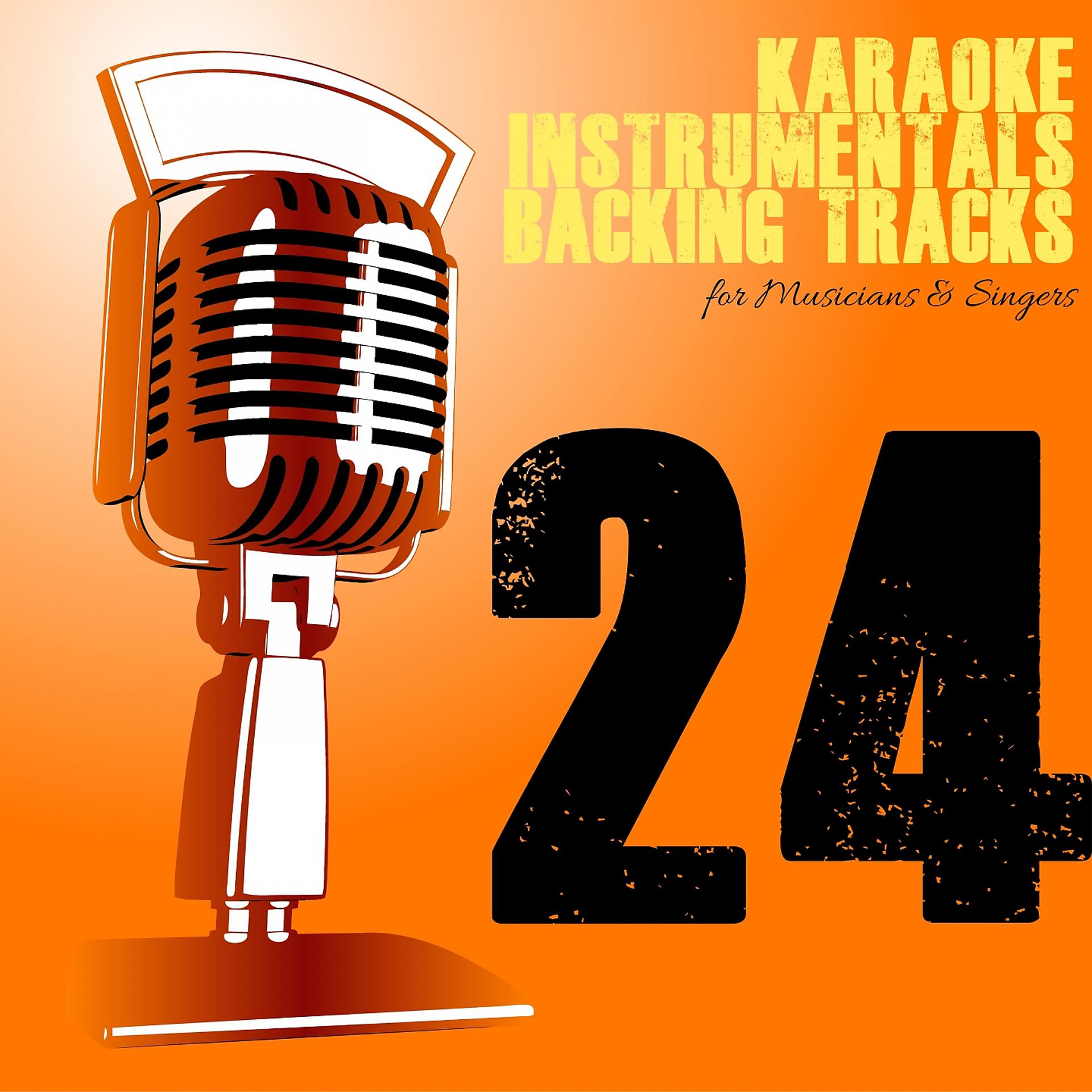 Постер альбома Karaoke, Instrumentals, Backing Tracks, Vol. 24
