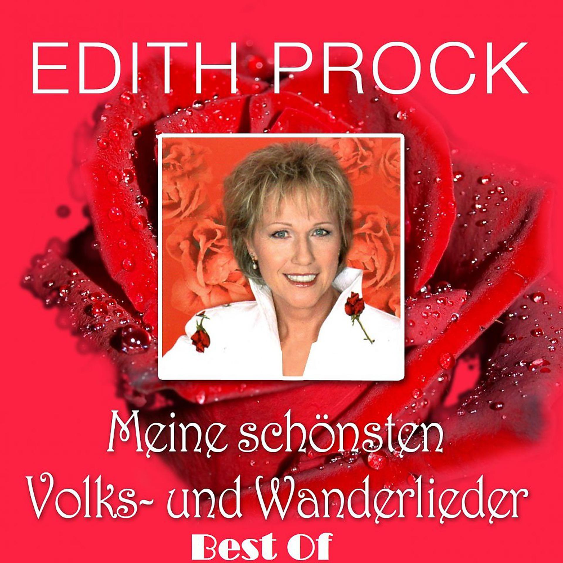 Постер альбома Best Of: Meine schönsten Volks- & Wanderlieder