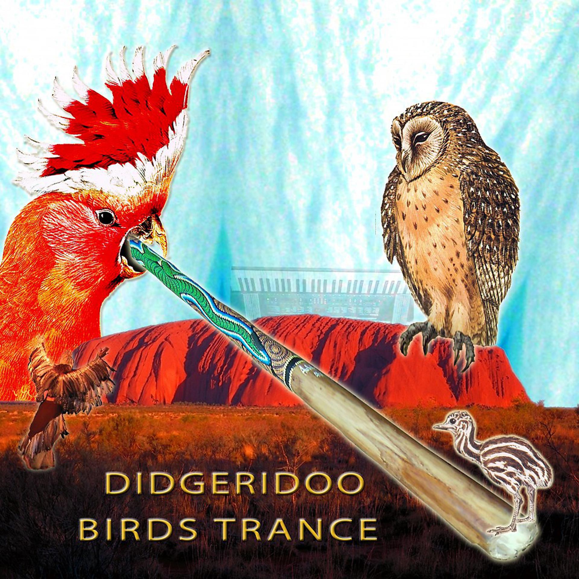 Постер альбома Didgeridoo Birds Dance (Naturally Groovy)