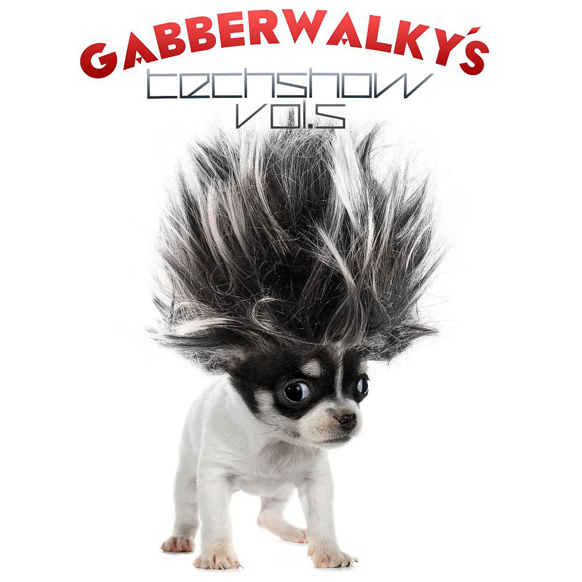 Постер альбома Gabberwalky's Techshow, Vol. 5