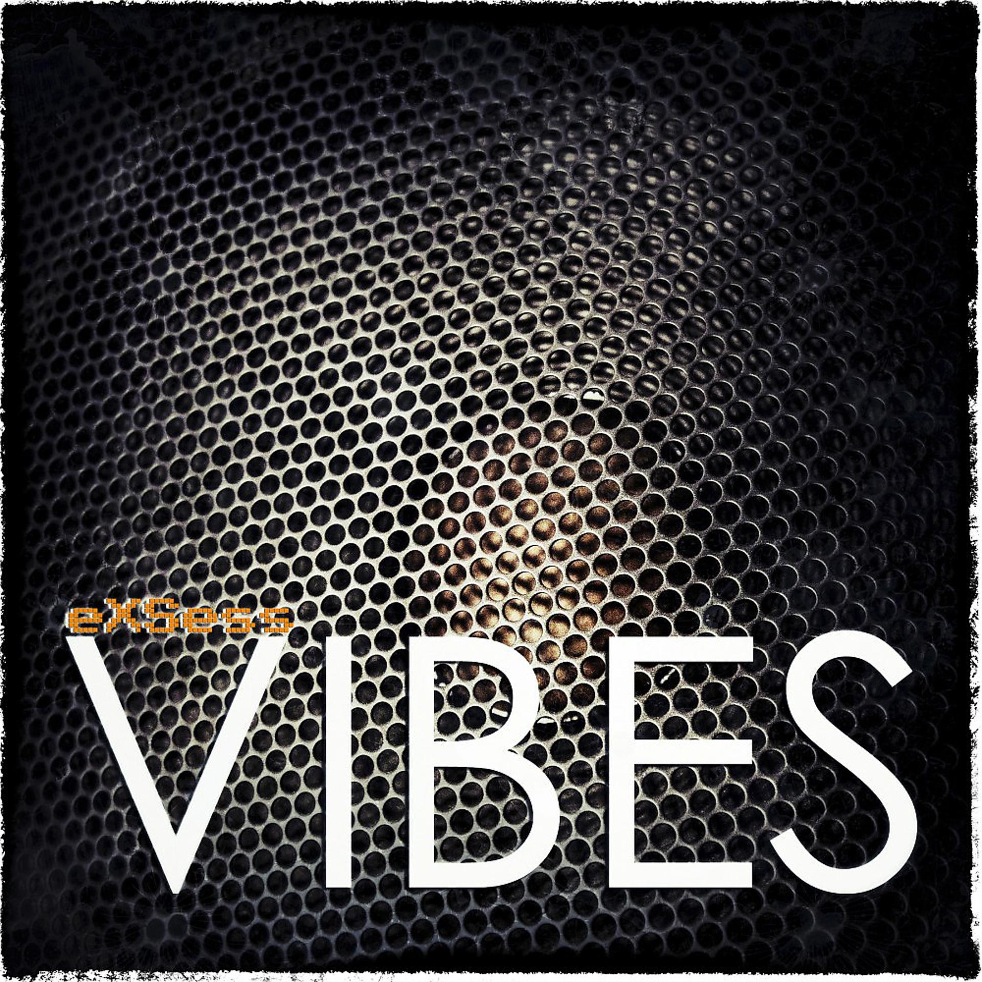 Постер альбома Vibes (Clubmusic)