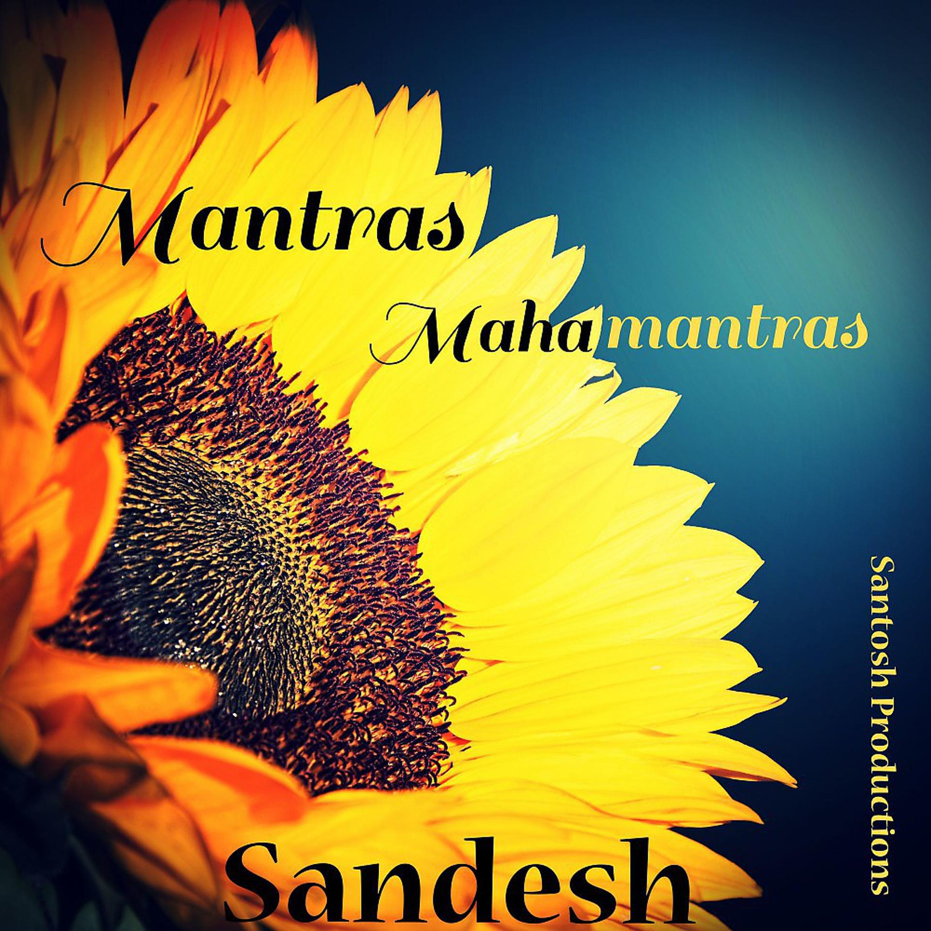 Постер альбома Mantras Mahamantras