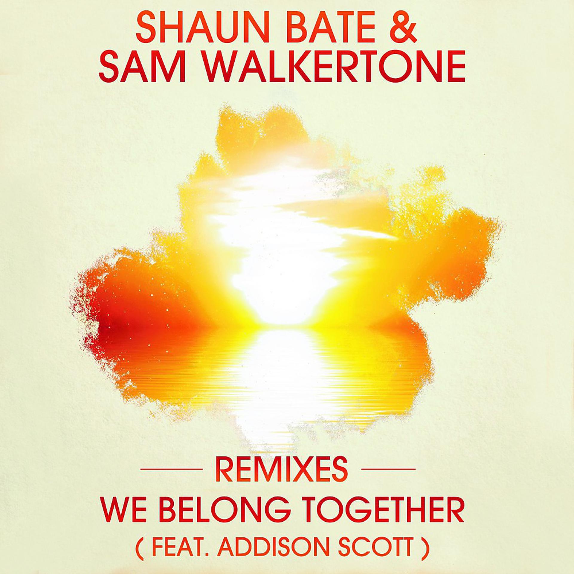 Постер альбома We Belong Together (Remixes)