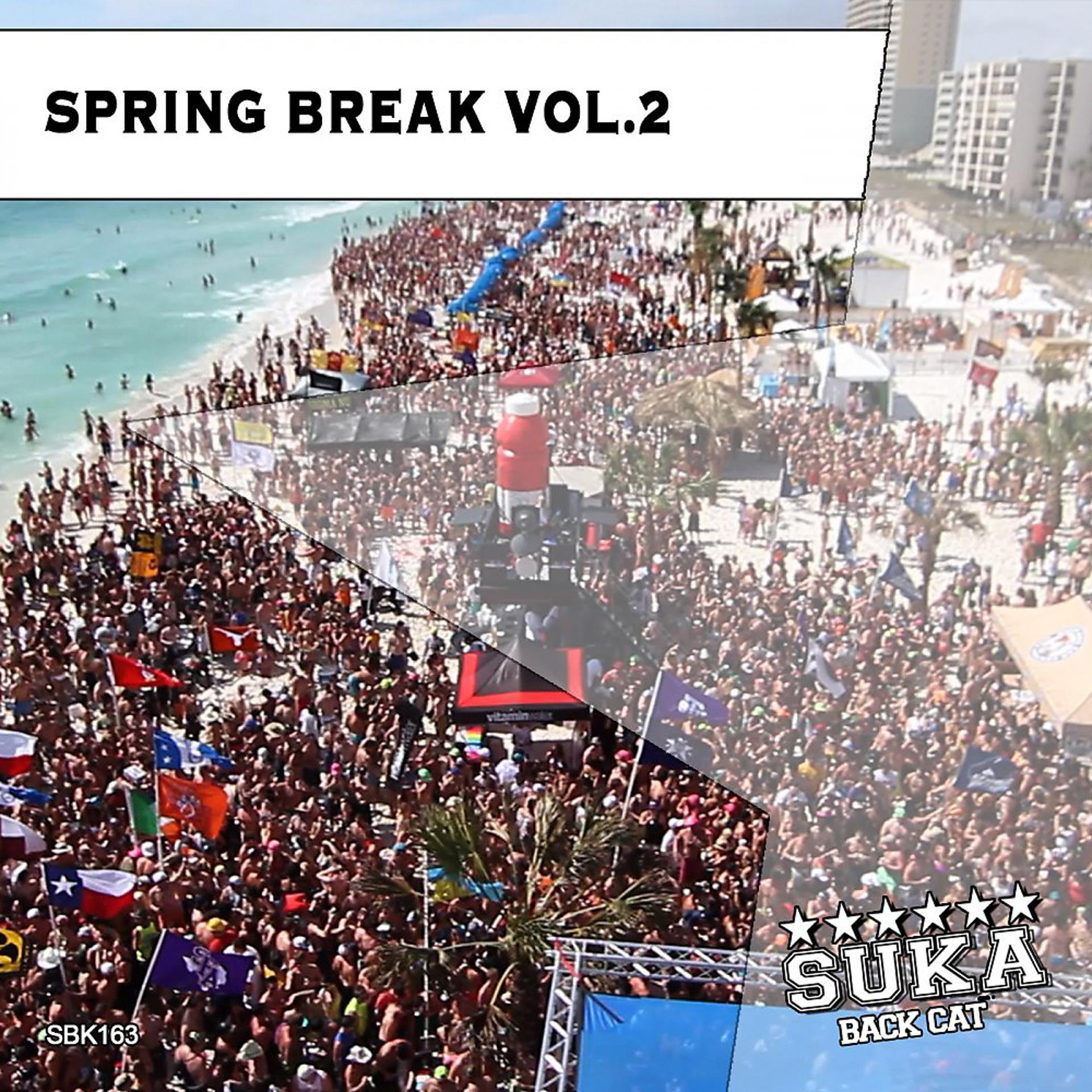 Постер альбома Spring Break, Vol. 2
