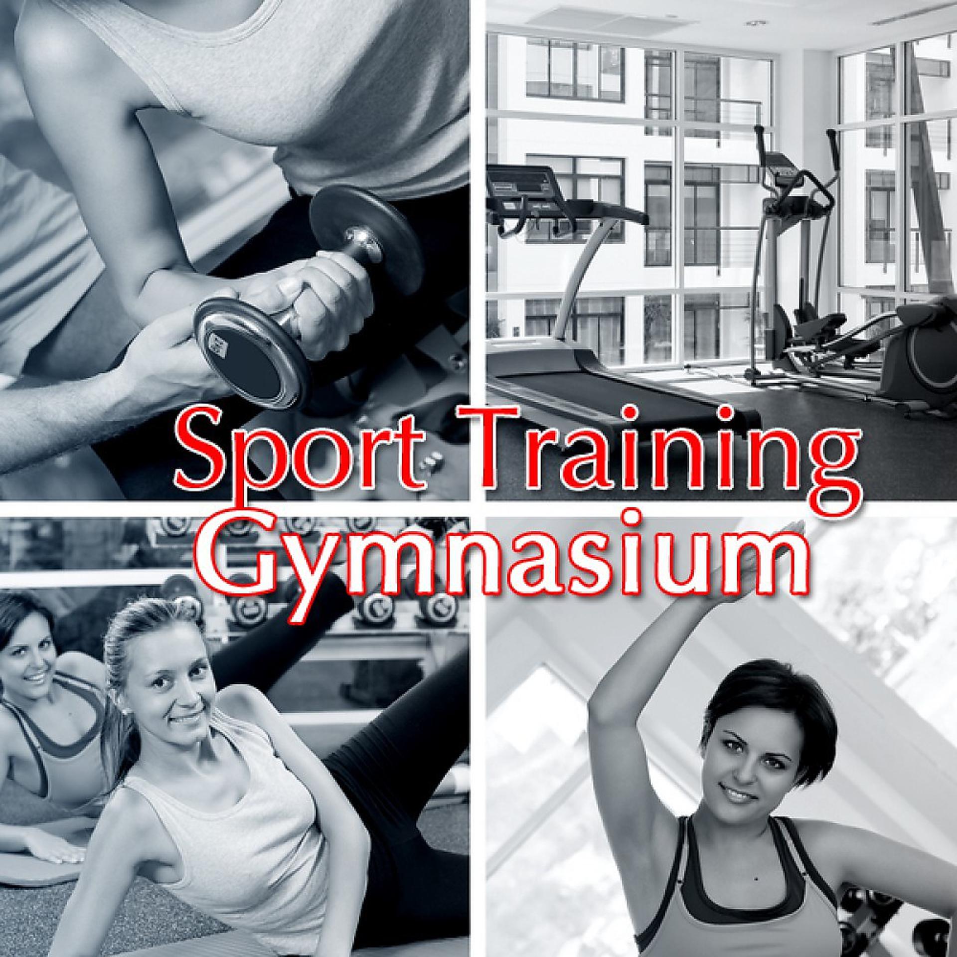 Постер альбома Sport Training Gymnsaium
