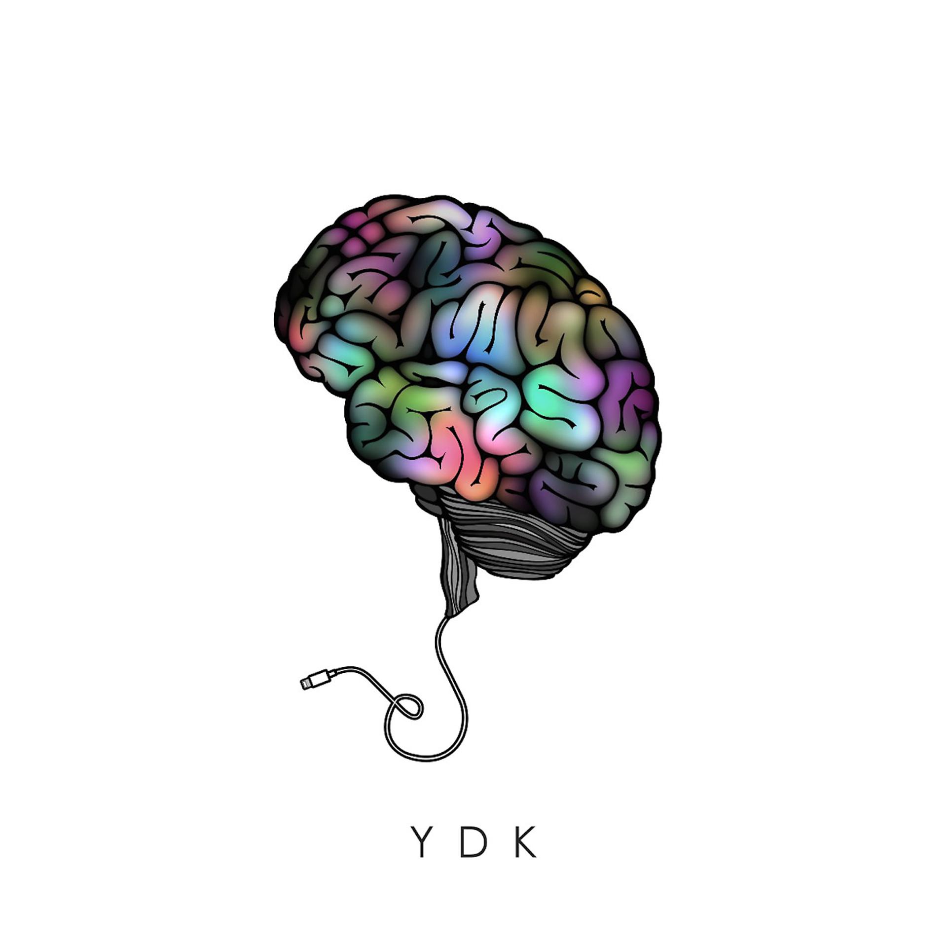 Постер альбома Ydk (feat. Ava Re)