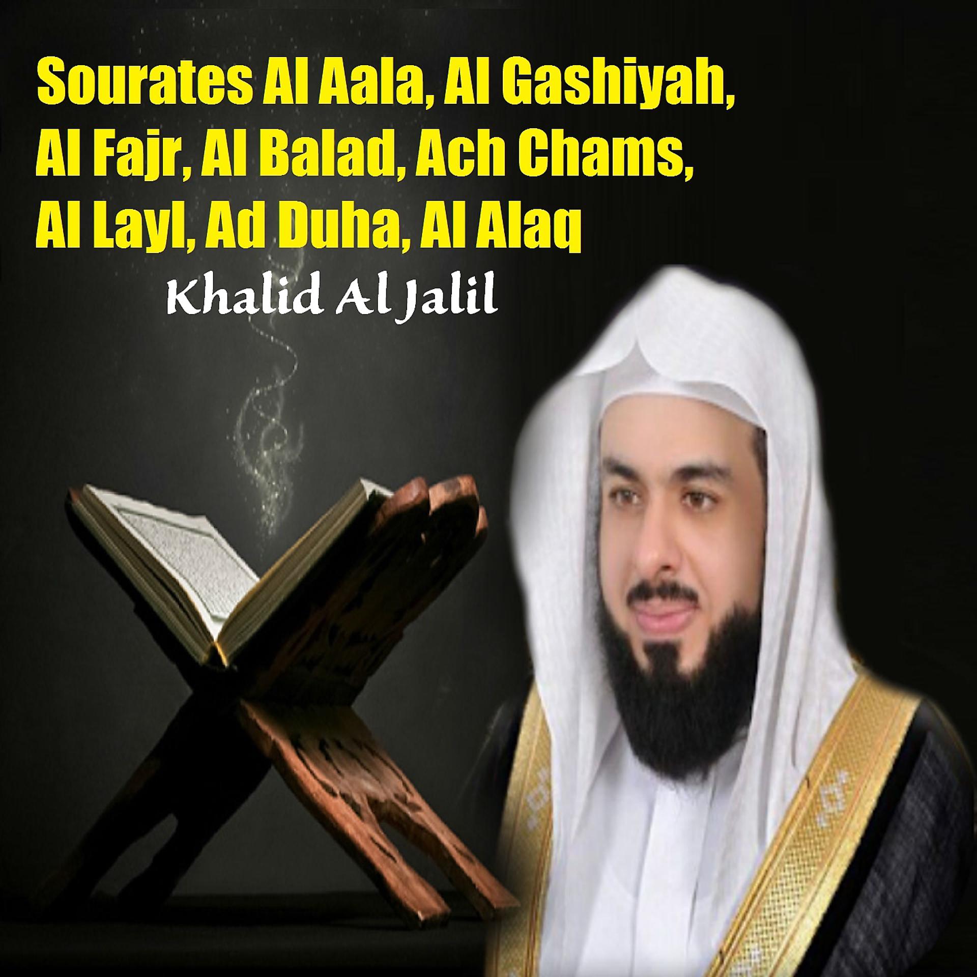 Постер альбома Sourates Al Aala, Al Gashiyah, Al Fajr, Al Balad, Ach Chams, Al Layl, Ad Duha, Al Alaq