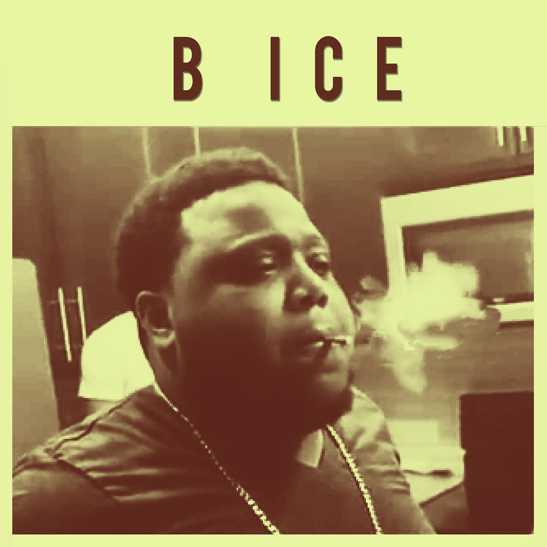 Постер альбома B Ice