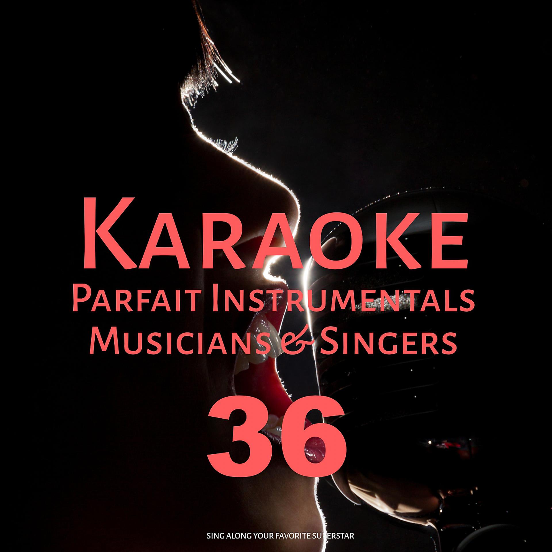 Постер альбома Karaoke Parfait Instrumentals Musicians & Singers, Vol. 36