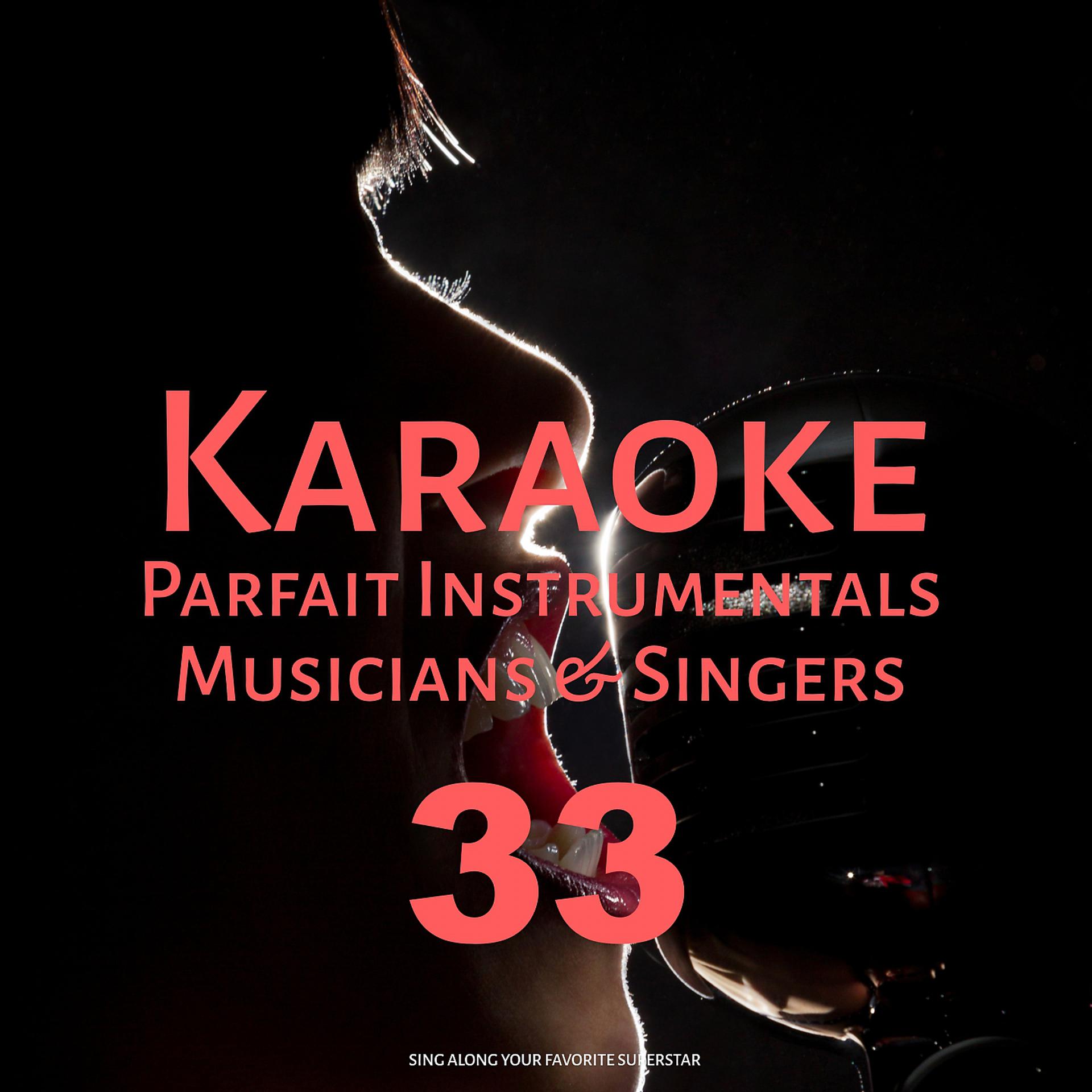 Постер альбома Karaoke Parfait Instrumentals Musicians & Singers, Vol. 33