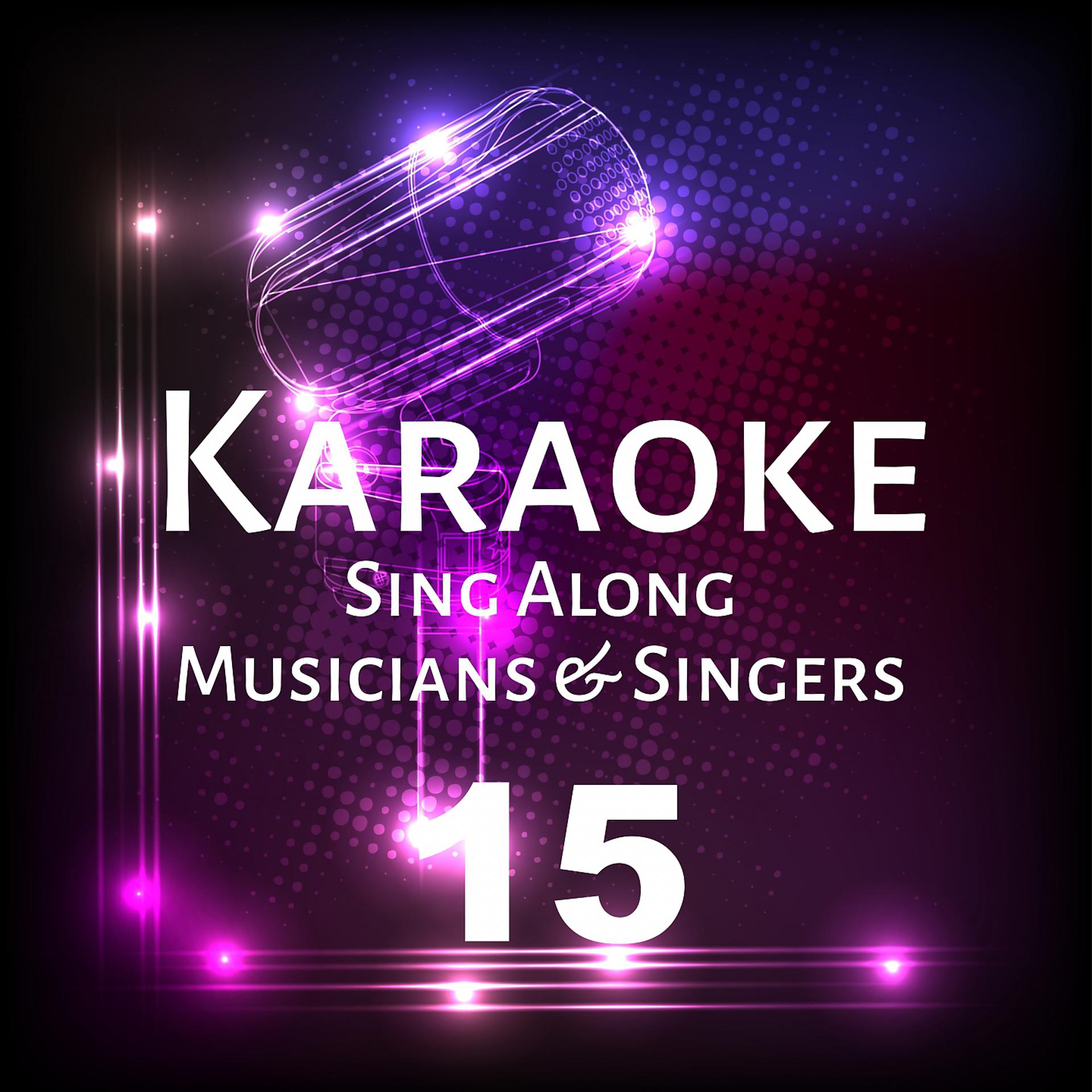 Постер альбома Karaoke Sing Along Musicians & Singers, Vol. 15