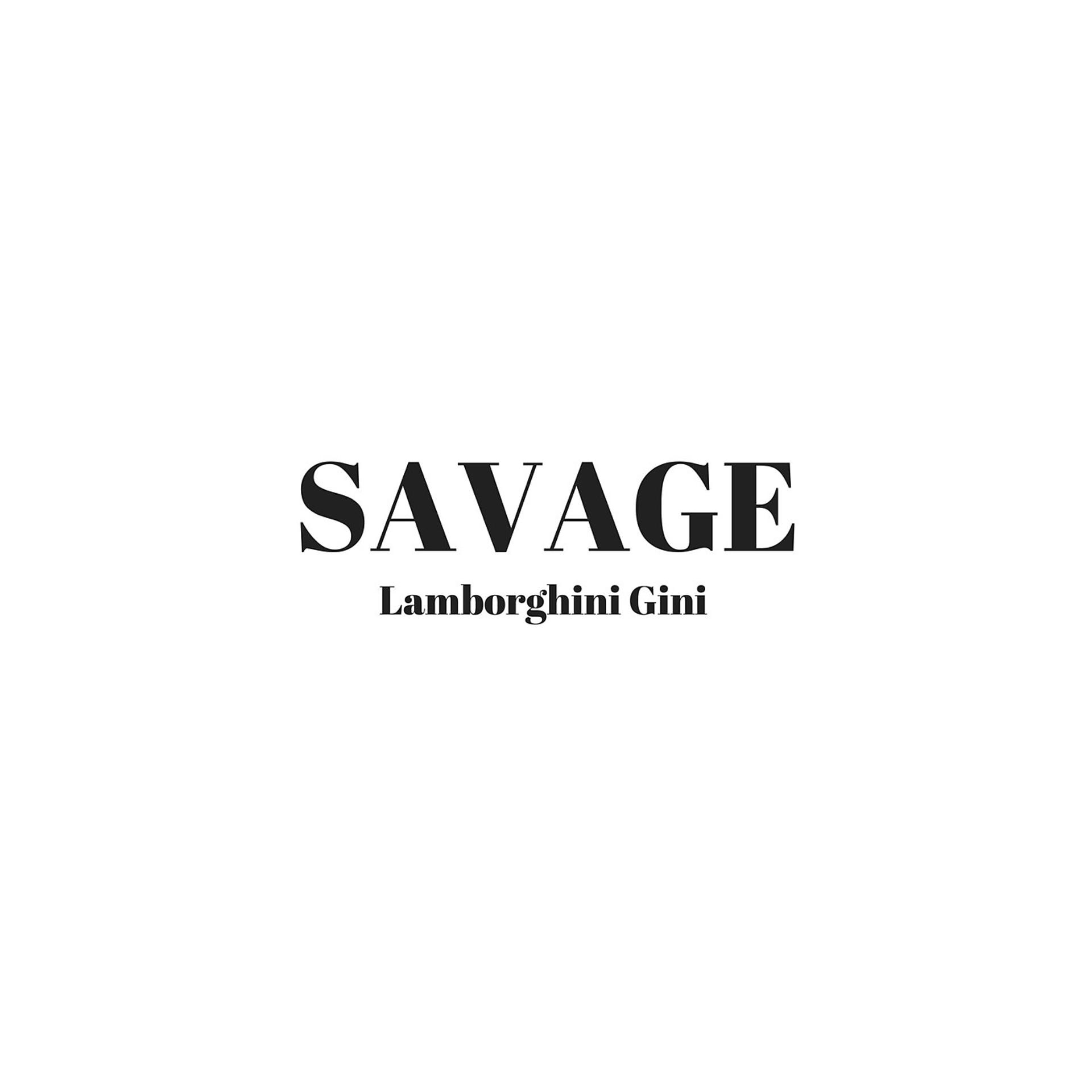 Постер альбома Savage