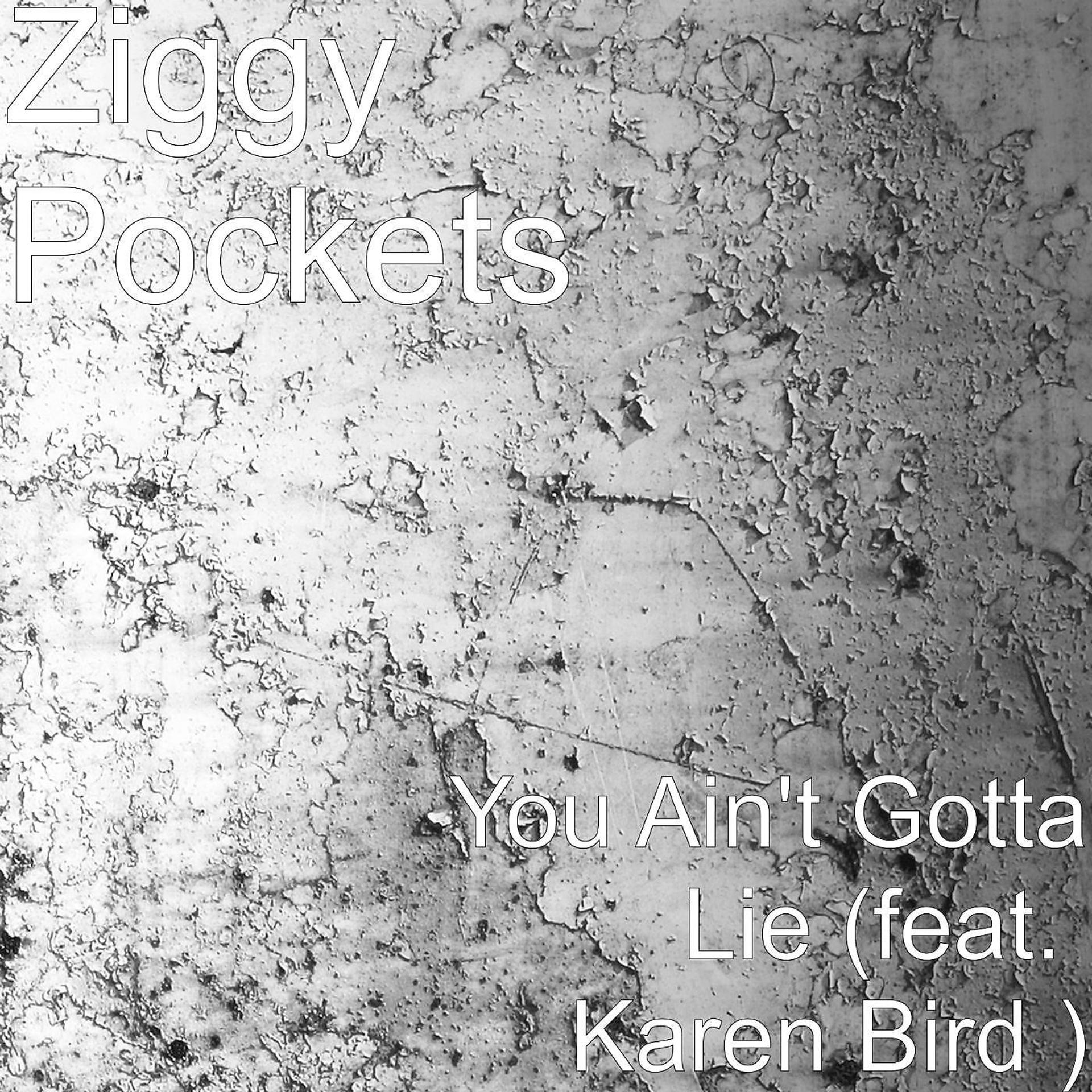 Постер альбома You Ain't Gotta Lie (feat. Karen Bird)