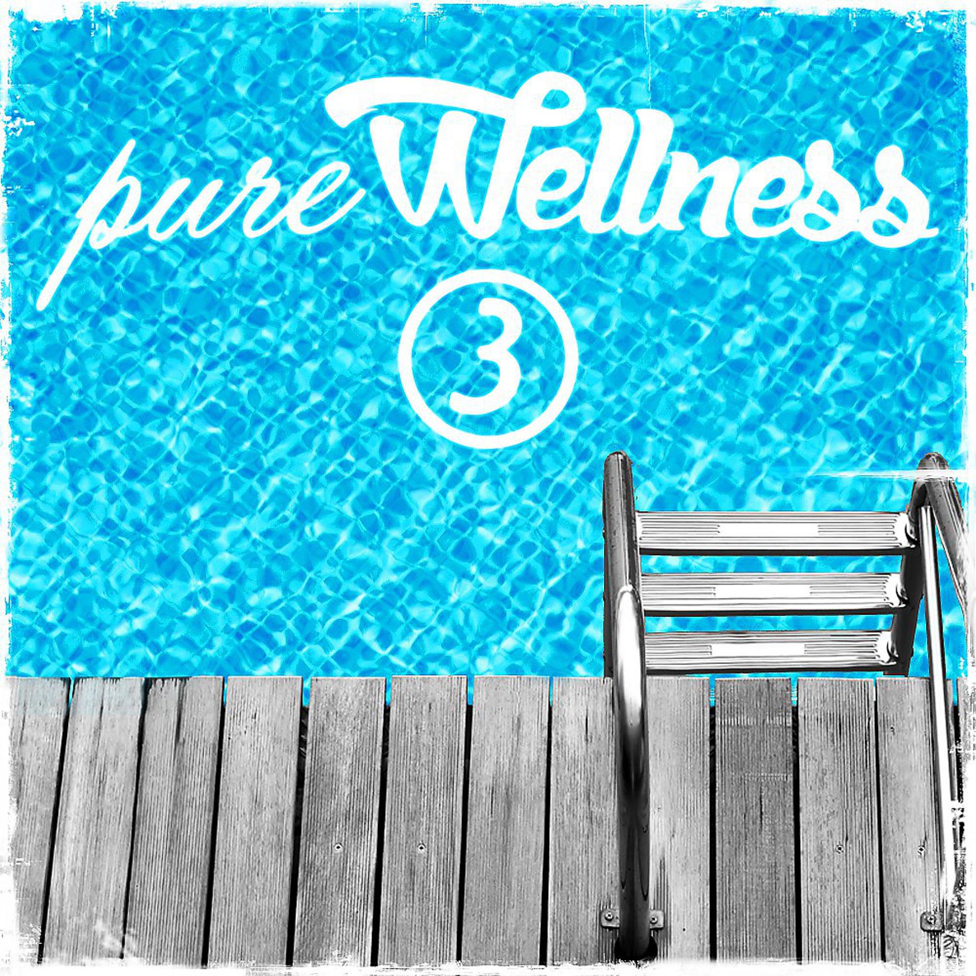 Постер альбома Pure Wellness 3