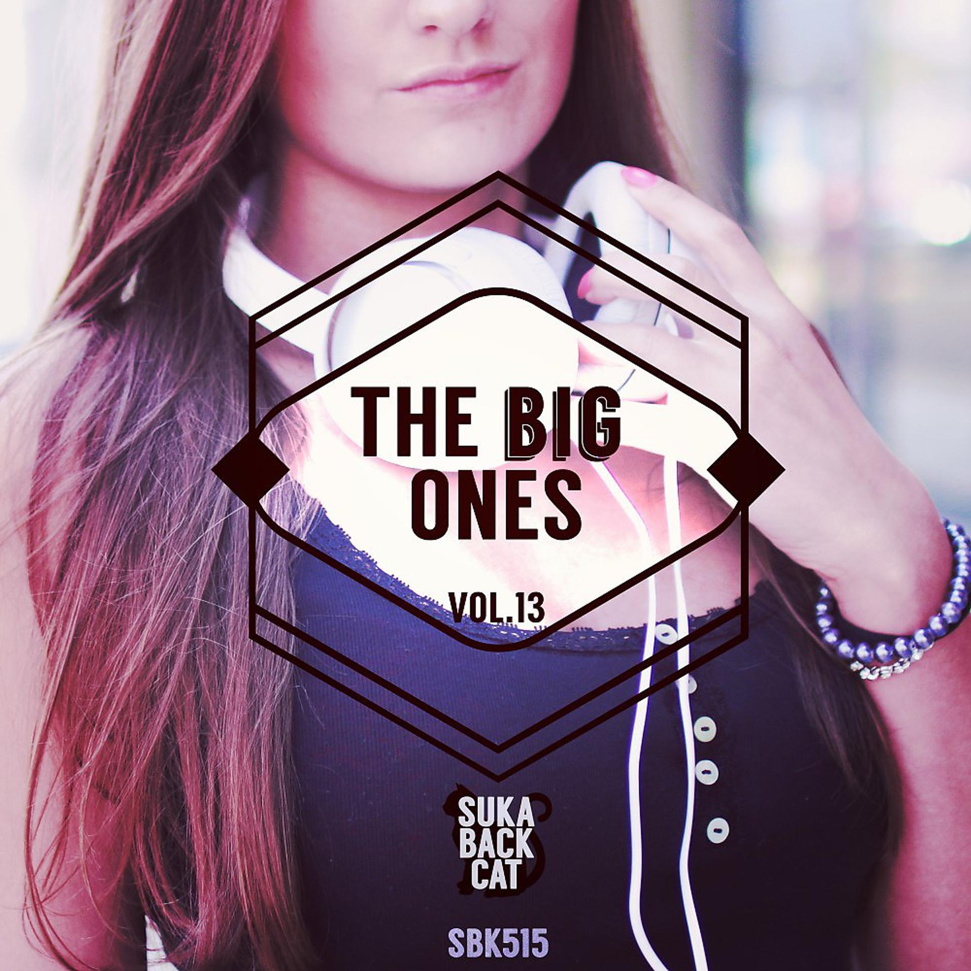 Постер альбома The Big Ones, Vol. 13