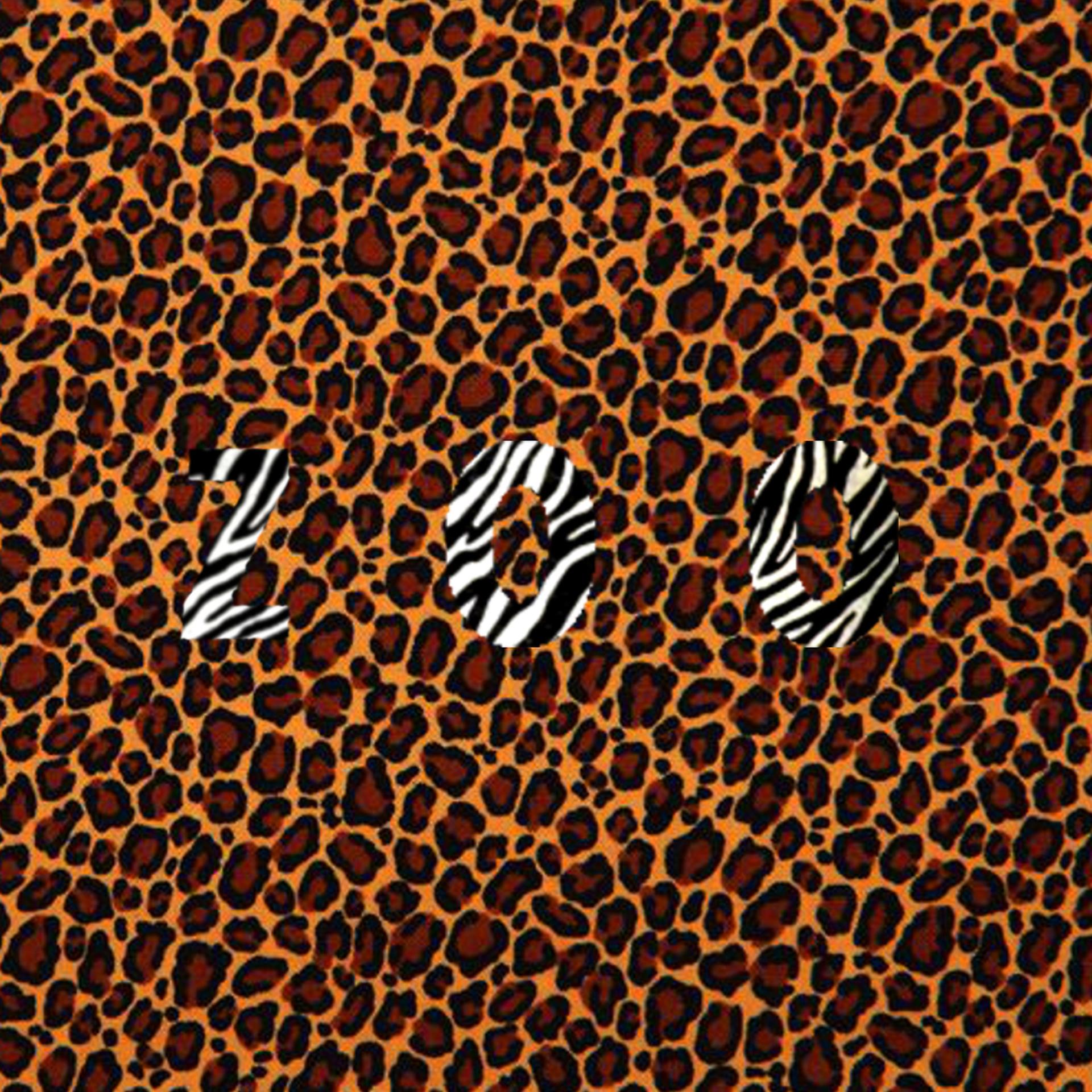 Постер альбома Zoo / Oh Wow