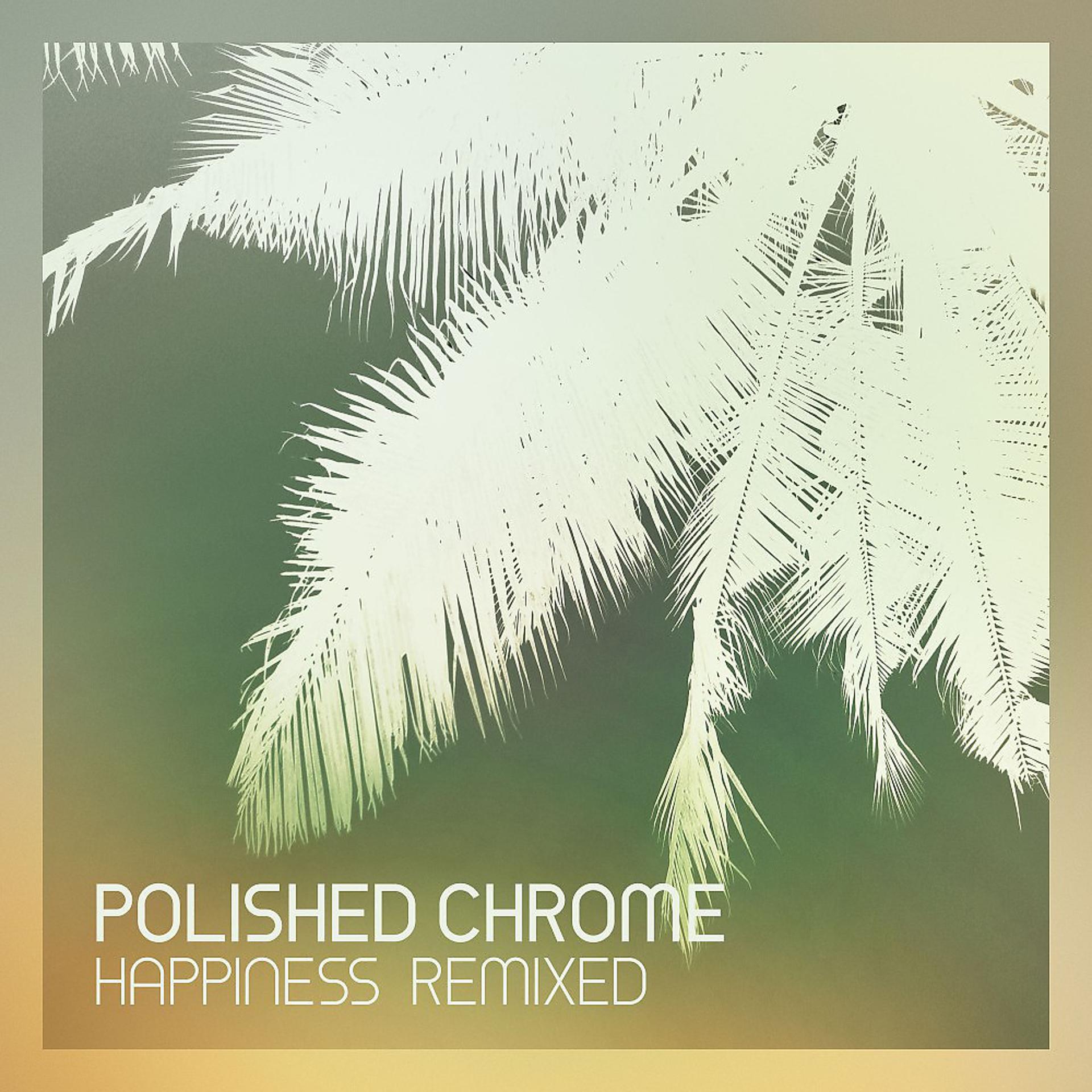 Постер альбома Happiness Remixed