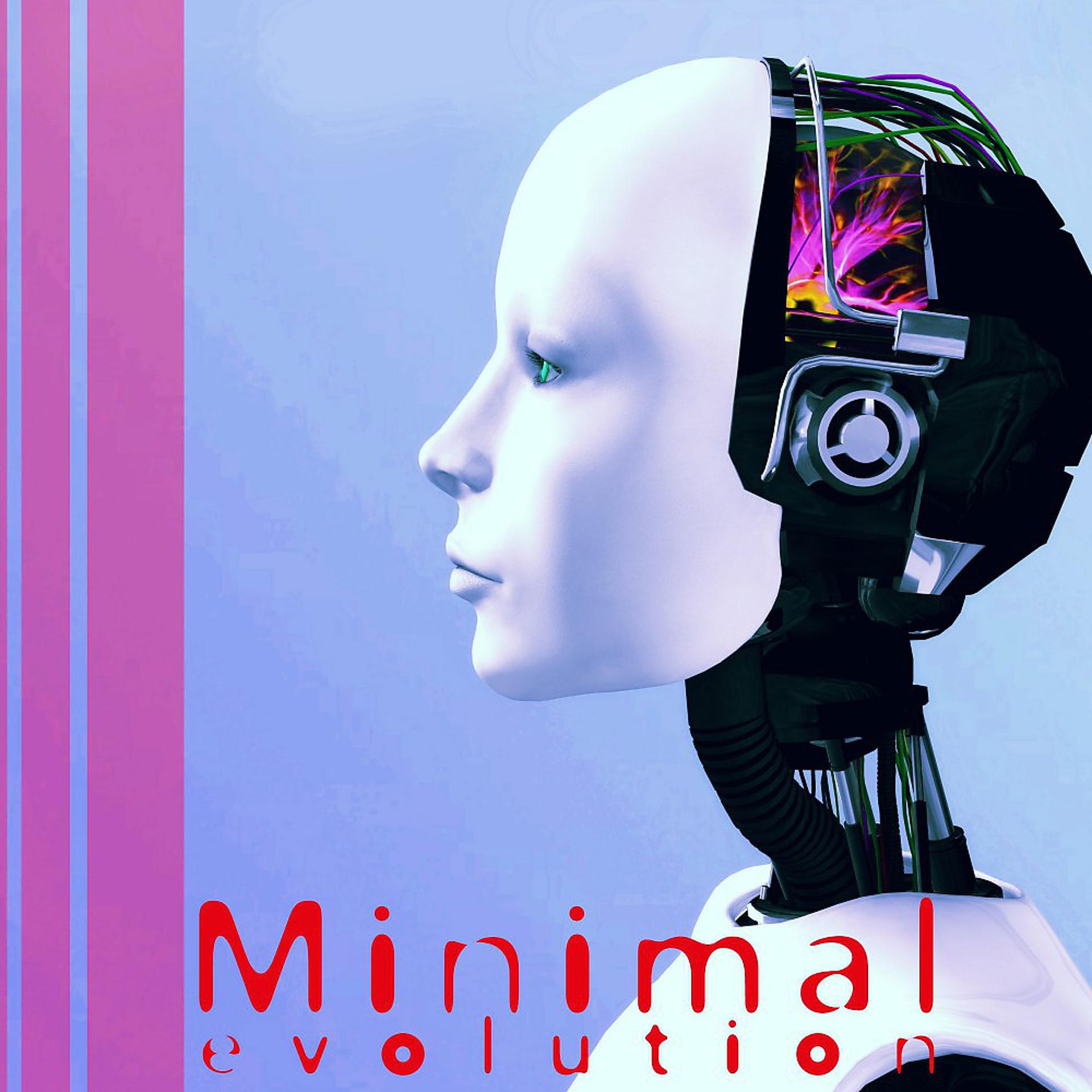 Постер альбома Minimal Evolution