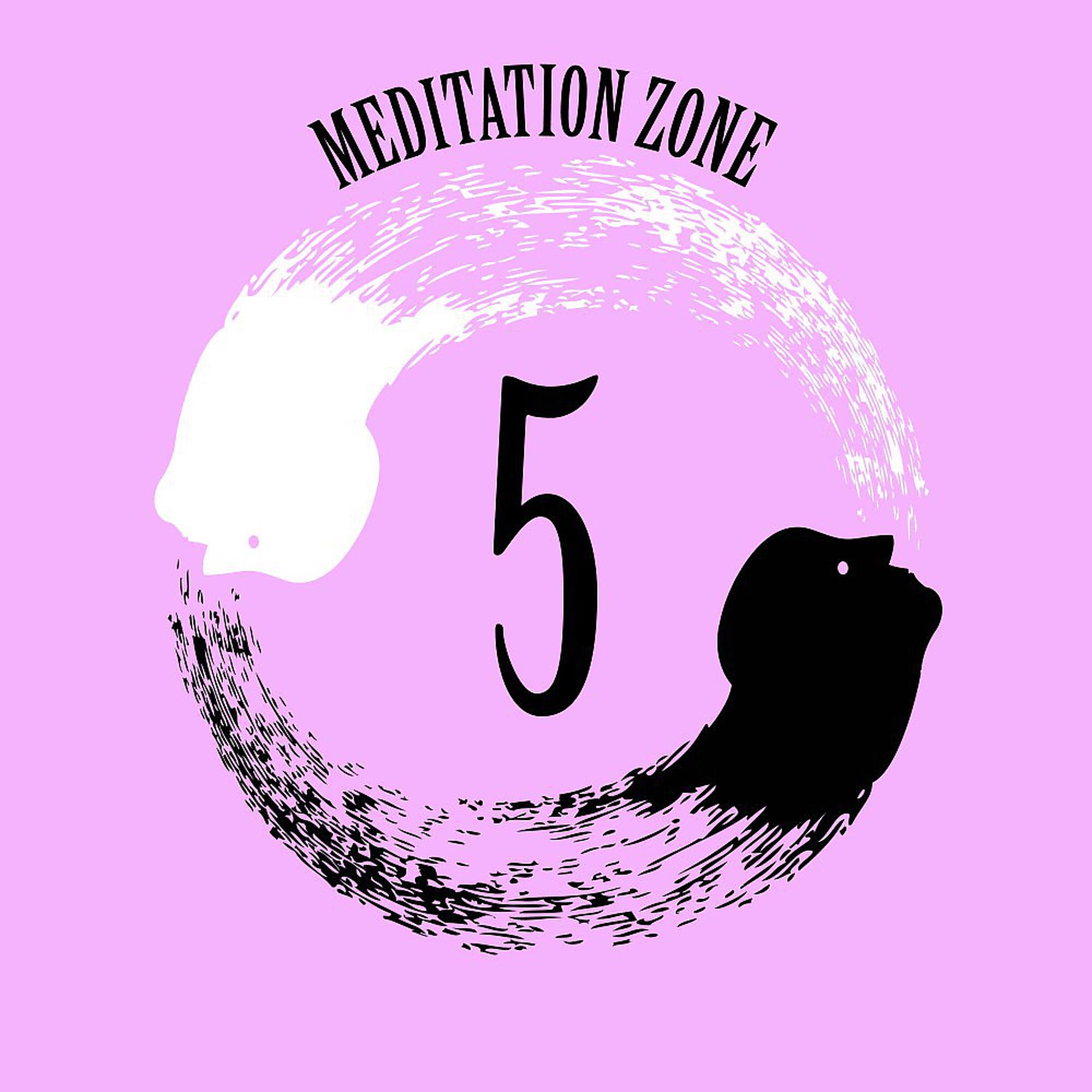 Постер альбома Meditation Zone 5