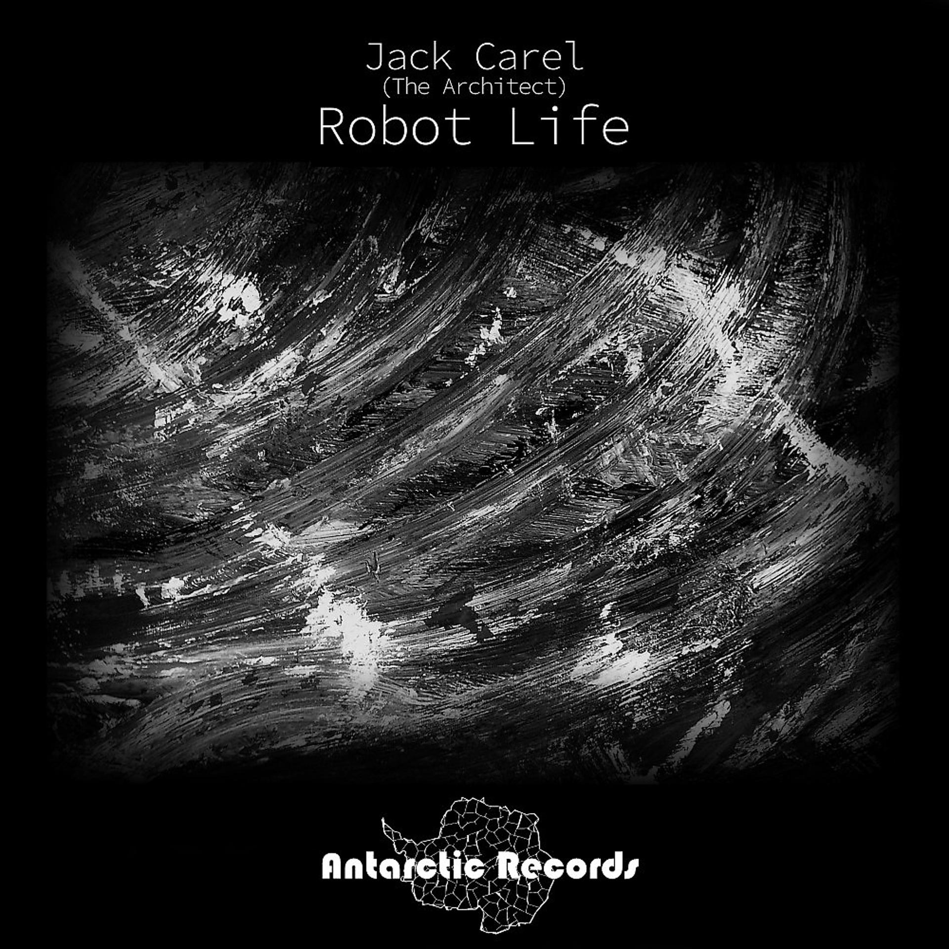 Постер альбома Robot Life