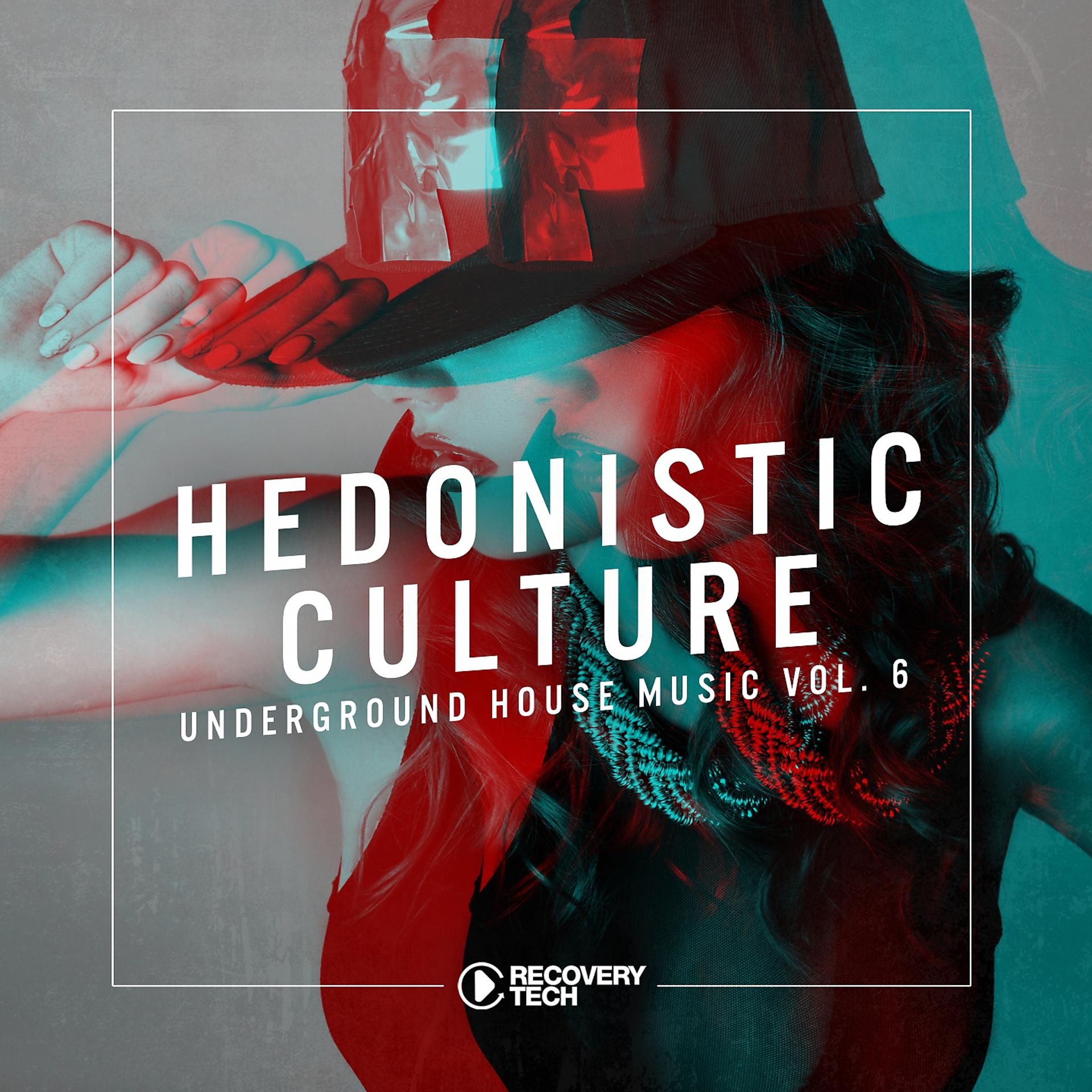 Постер альбома Hedonistic Culture, Vol. 6