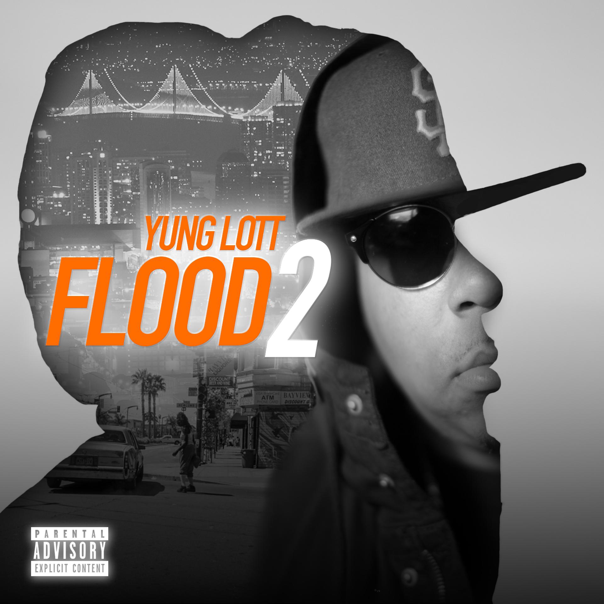 Постер альбома Flood 2