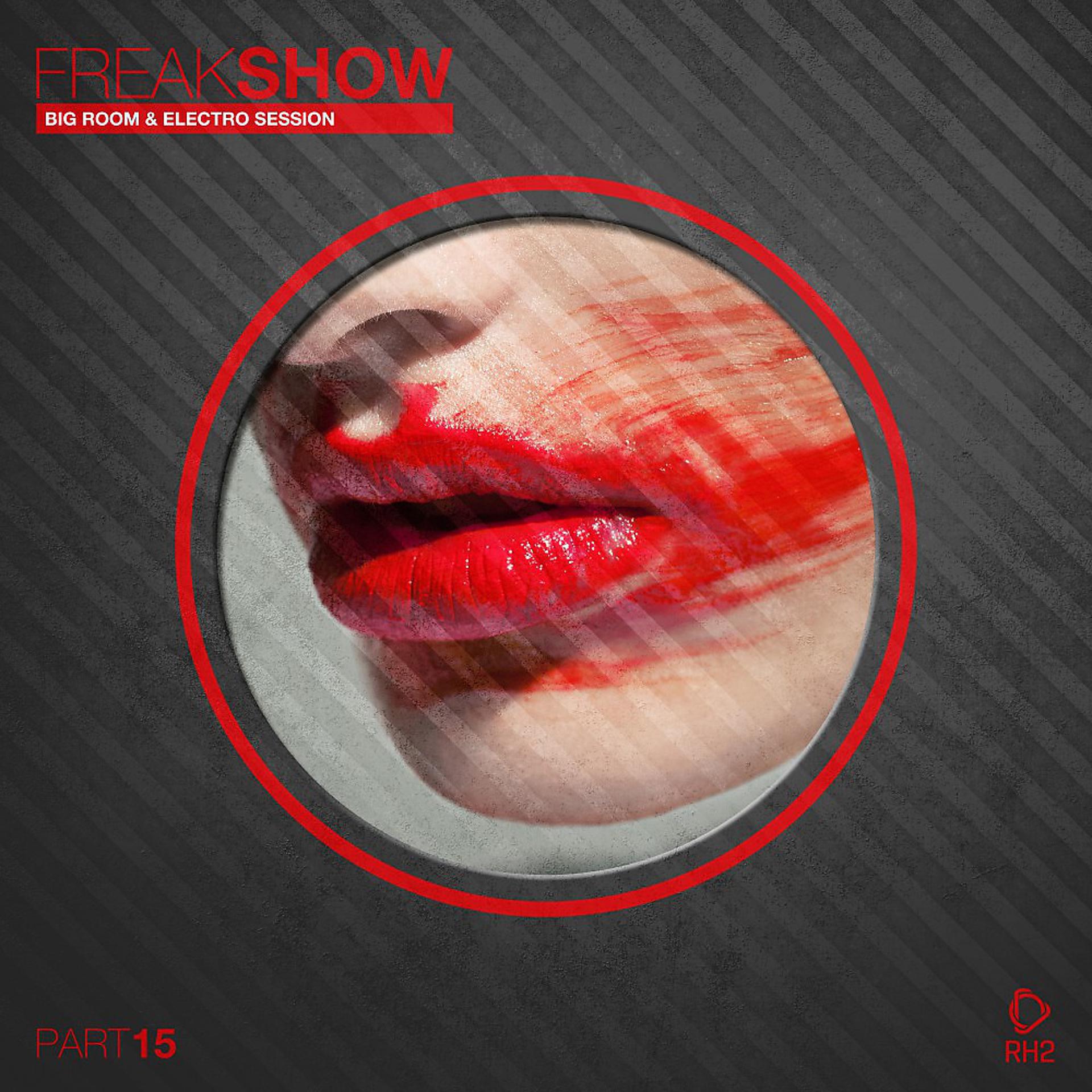 Постер альбома Freak Show, Vol. 15 - Big Room & Electro Session
