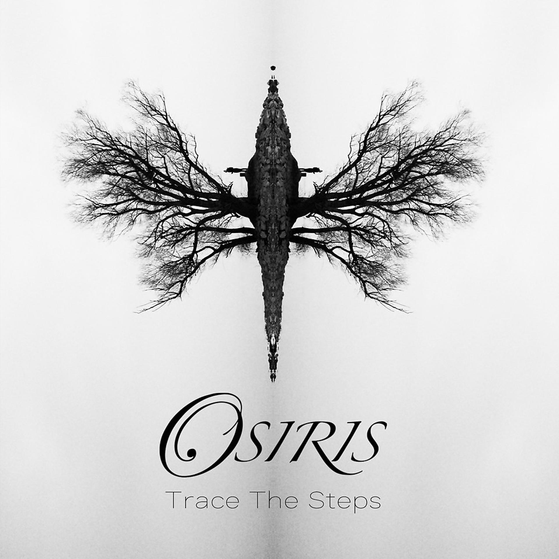Постер альбома Trace the Steps