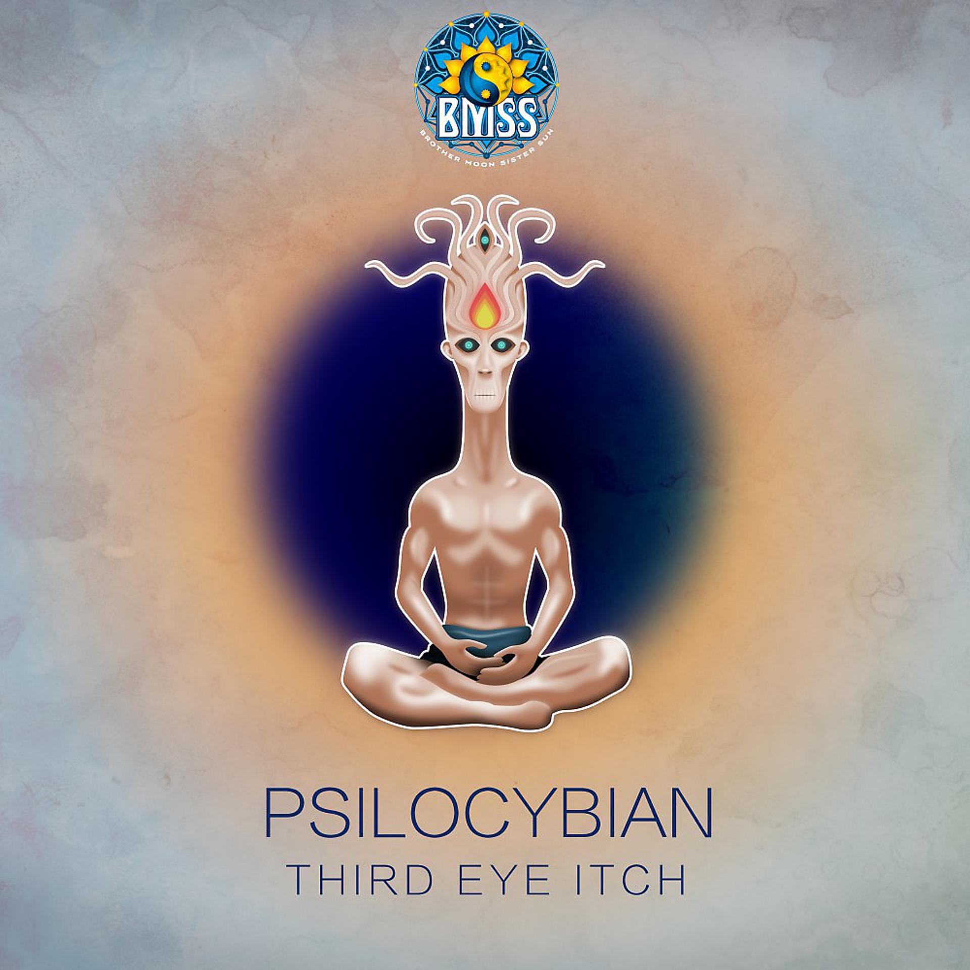 Постер альбома Third Eye Itch