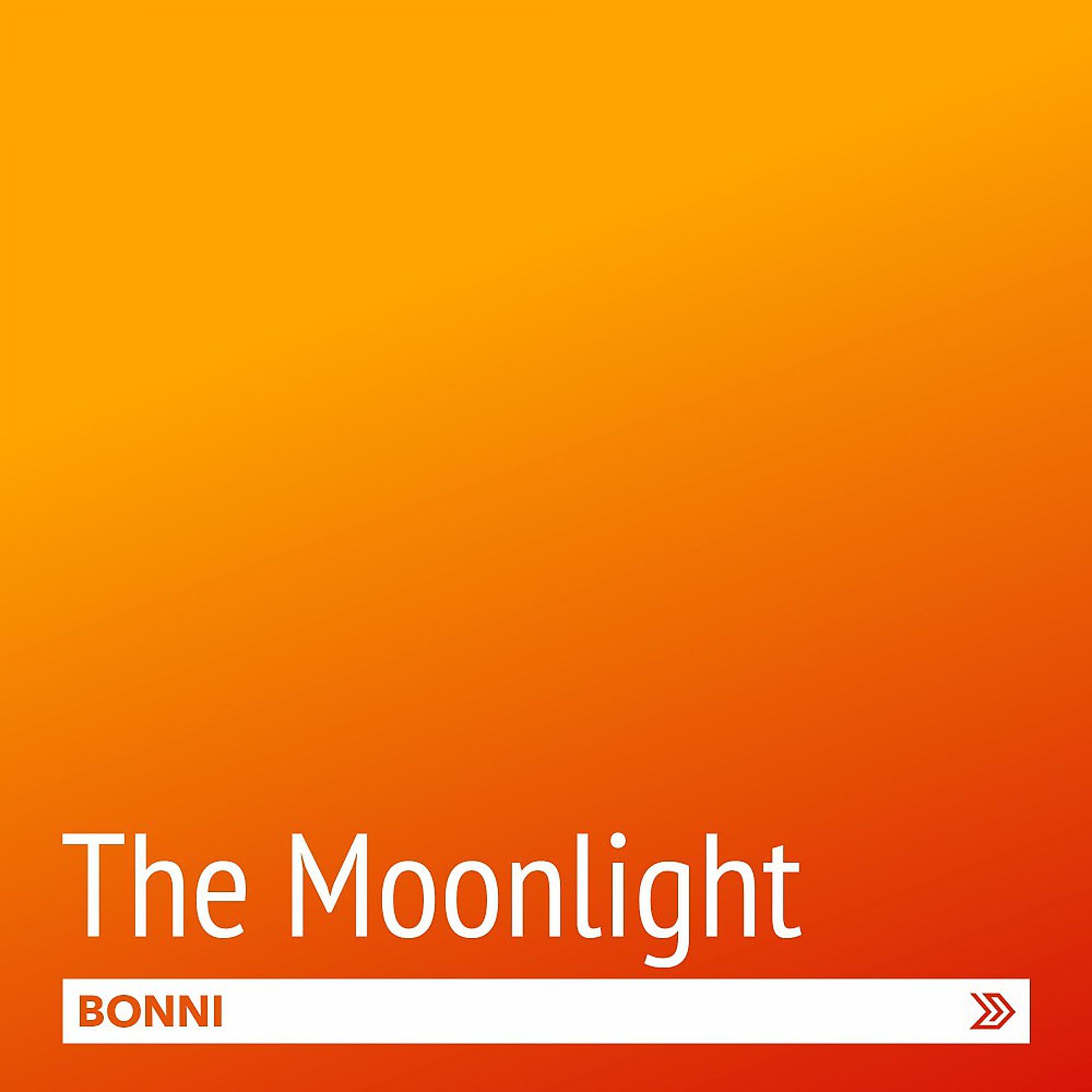 Постер альбома The Moonlight
