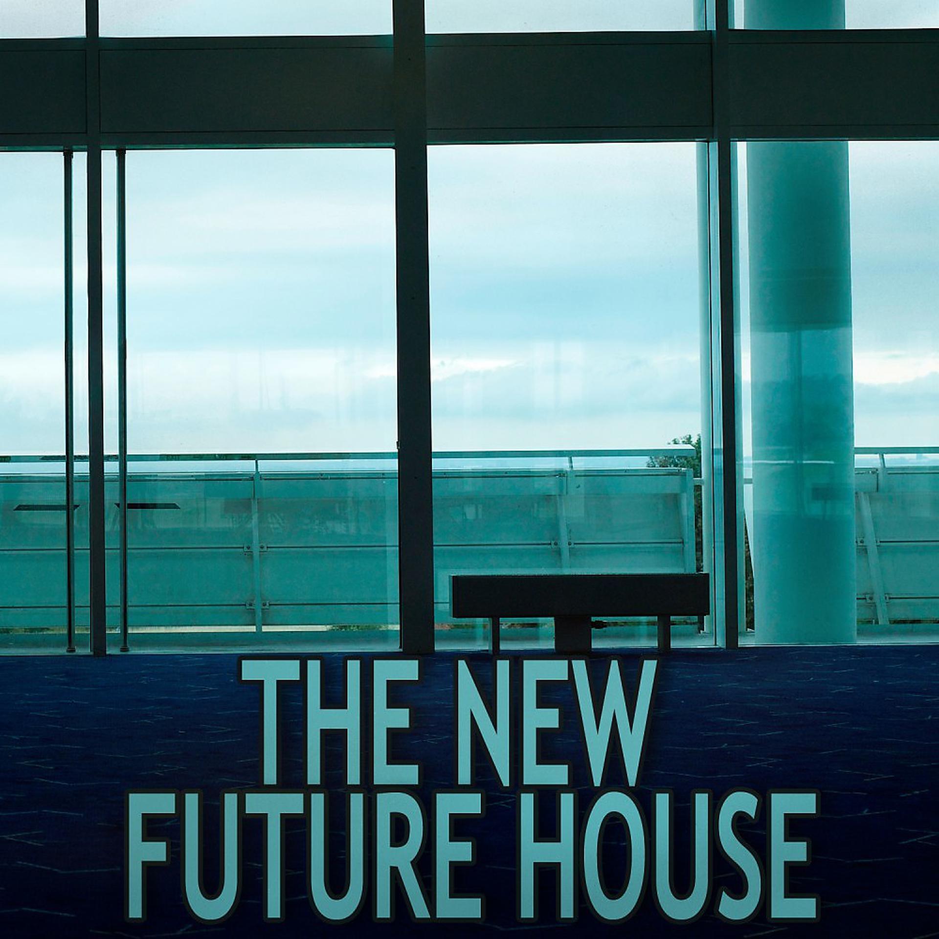 Постер альбома The New Future House
