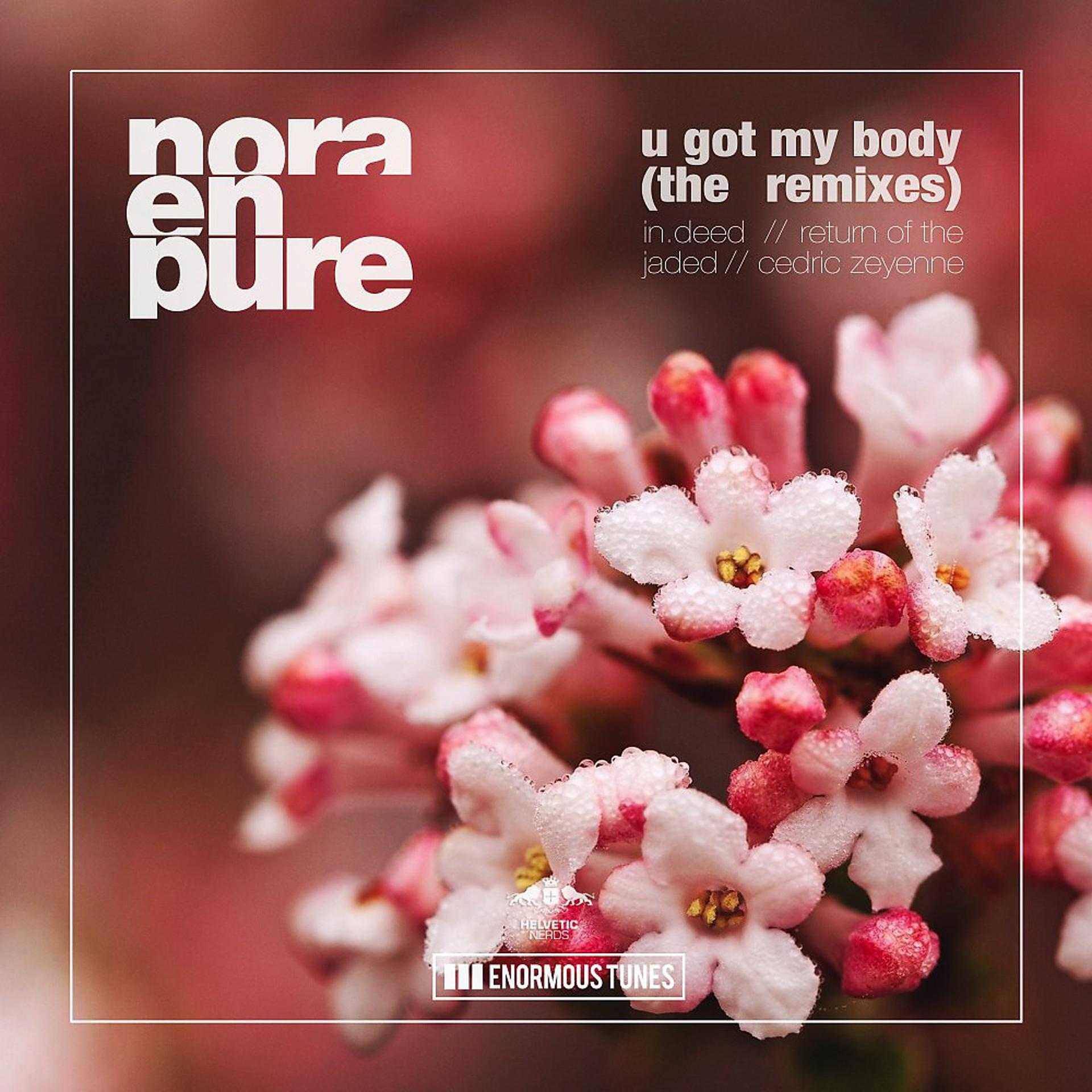Постер альбома U Got My Body - The Remixes