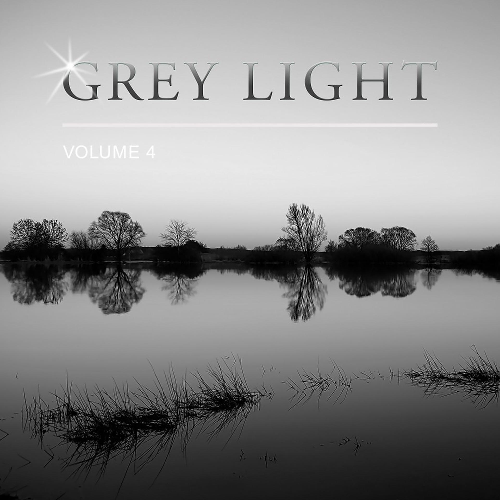 Постер альбома Grey Light, Vol. 4