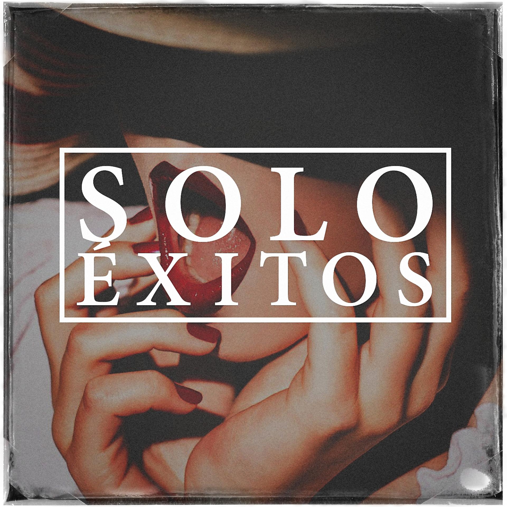 Постер альбома Sólo Éxitos