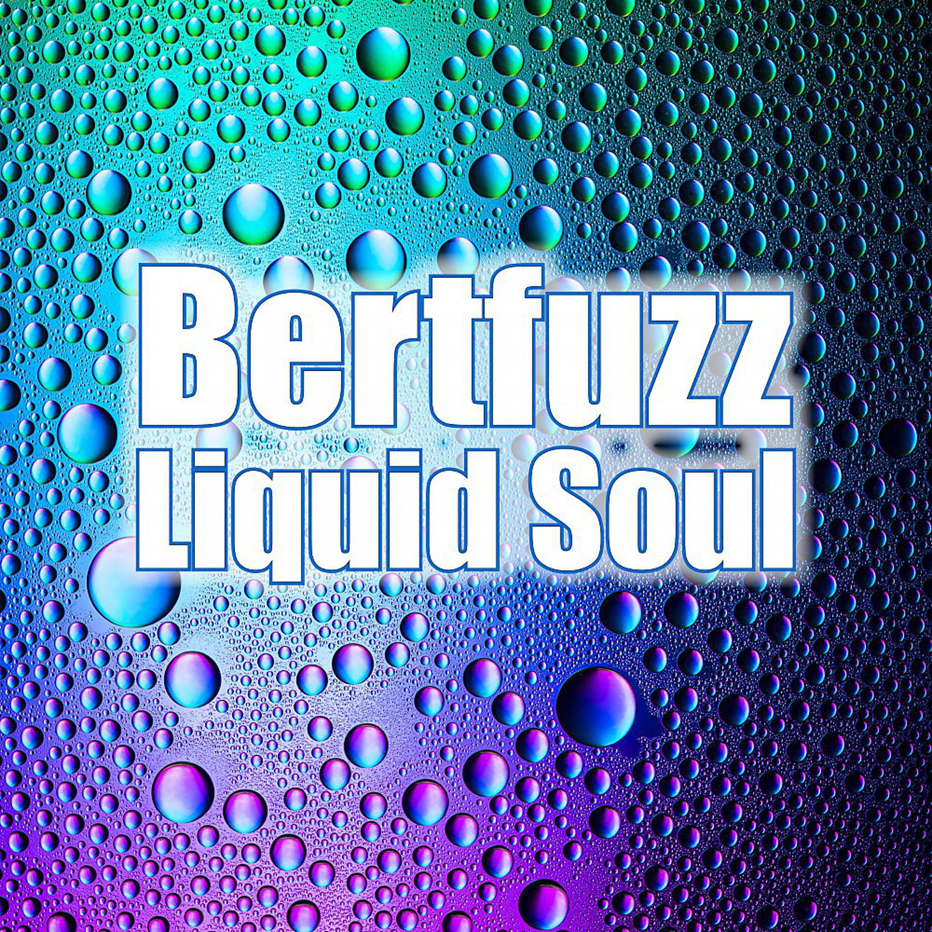 Постер альбома Liquid Soul