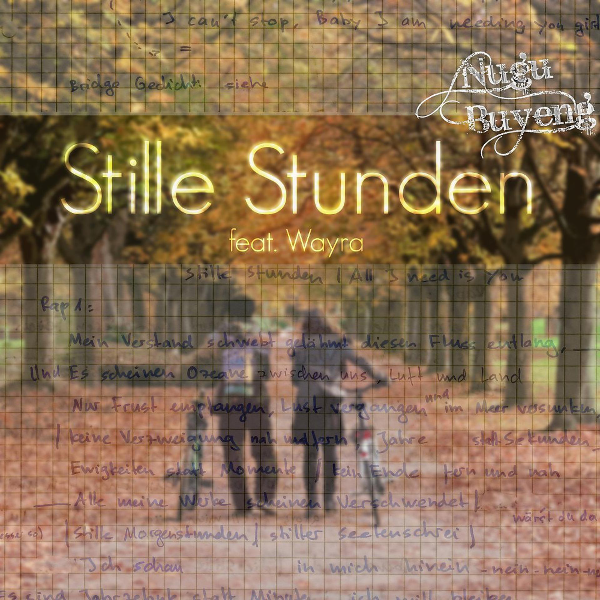 Постер альбома Stille Stunden