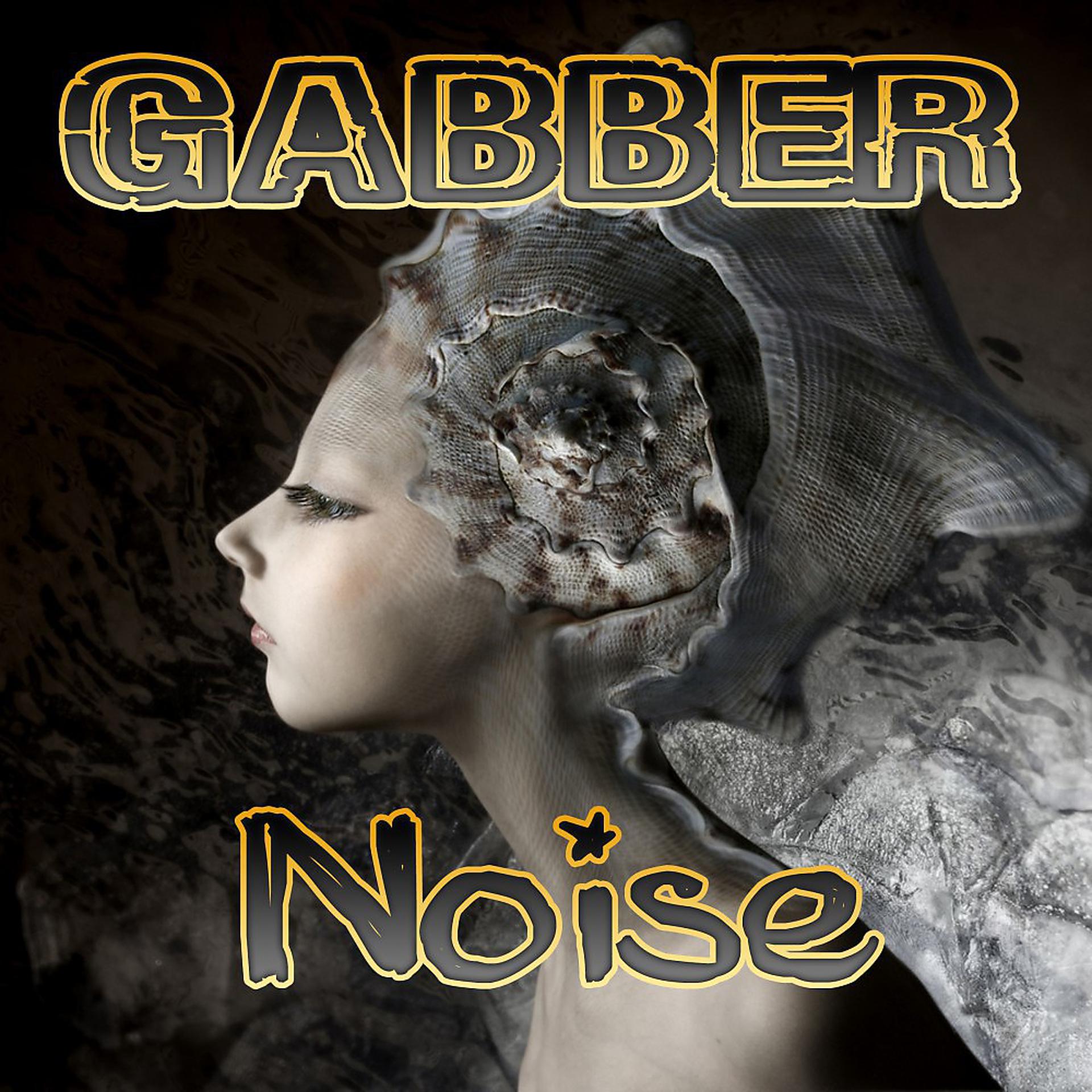 Постер альбома Gabber Noise
