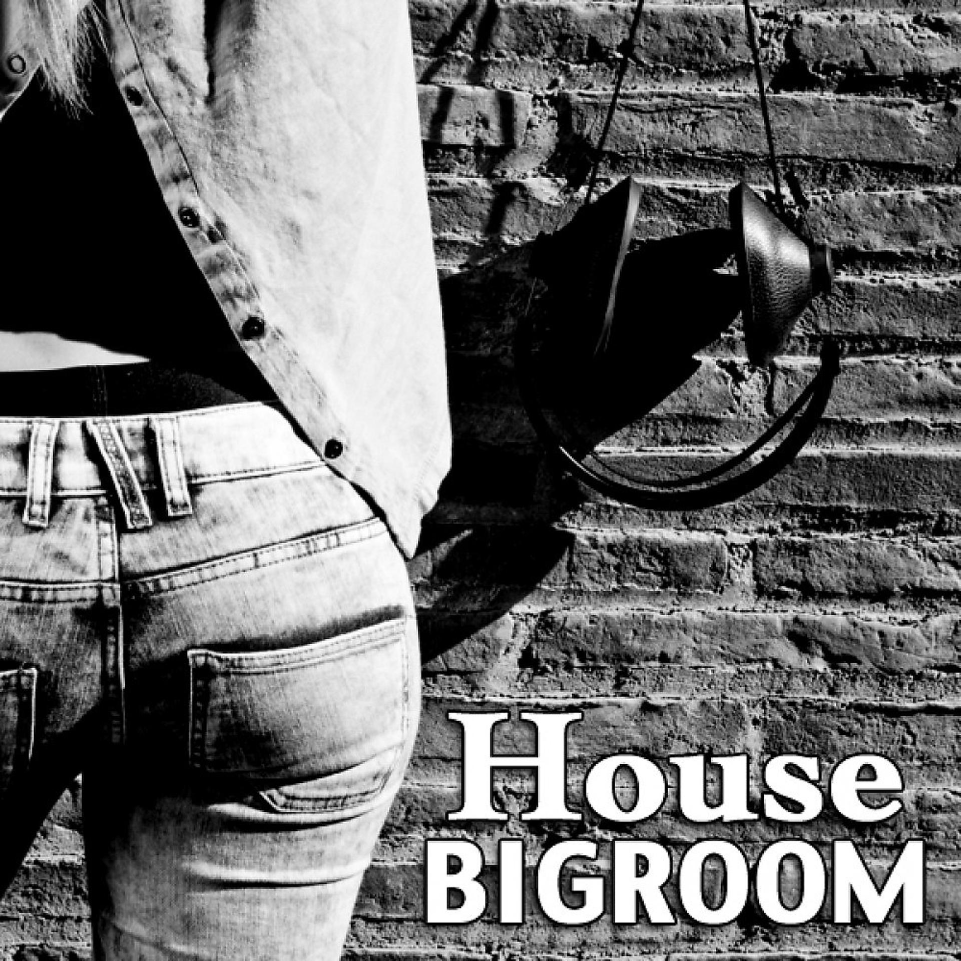 Постер альбома House Bigroom