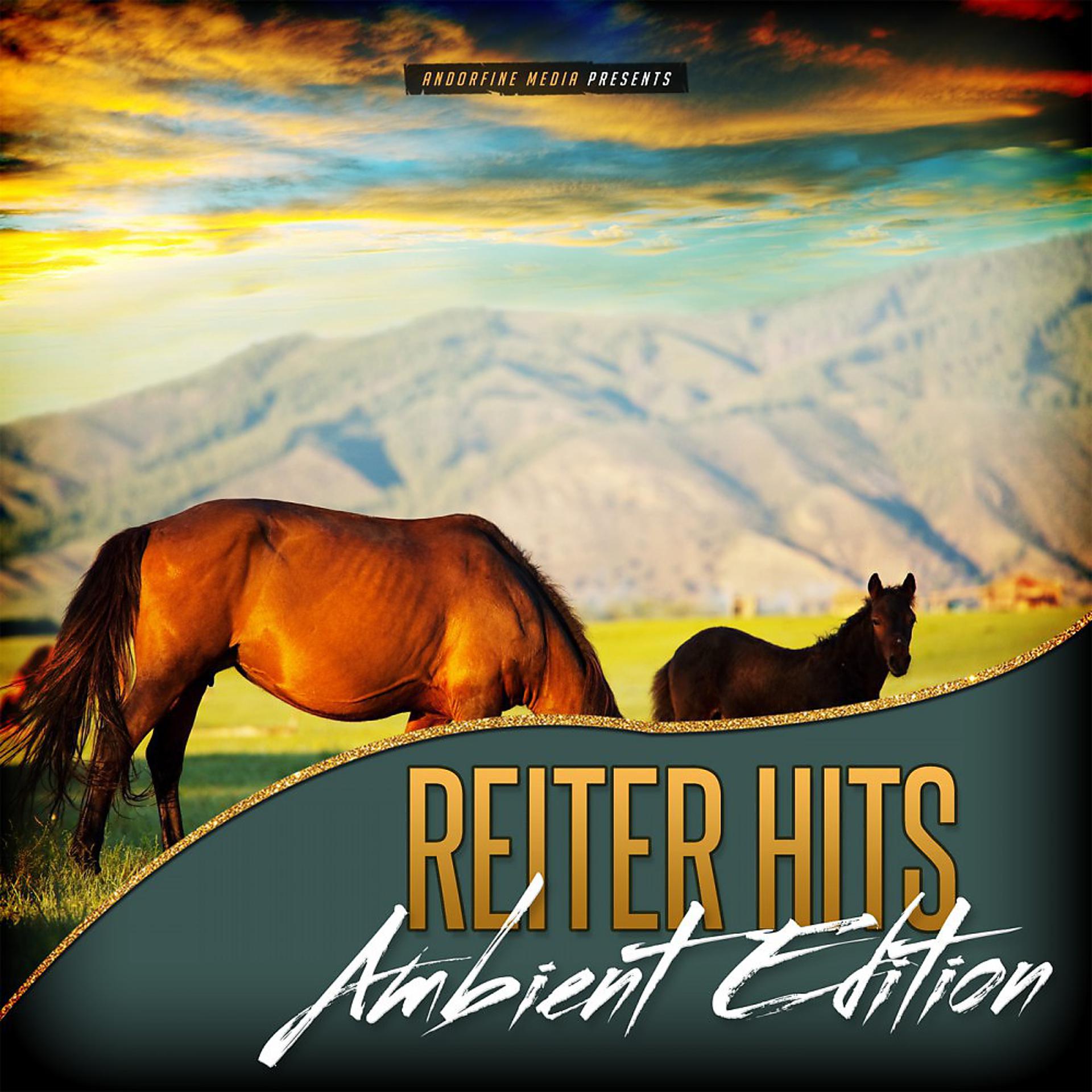 Постер альбома Reiter Hits - Ambient Edition