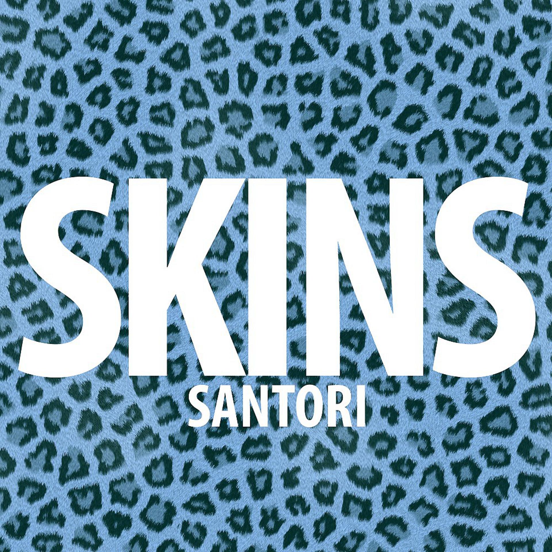 Постер альбома Santori