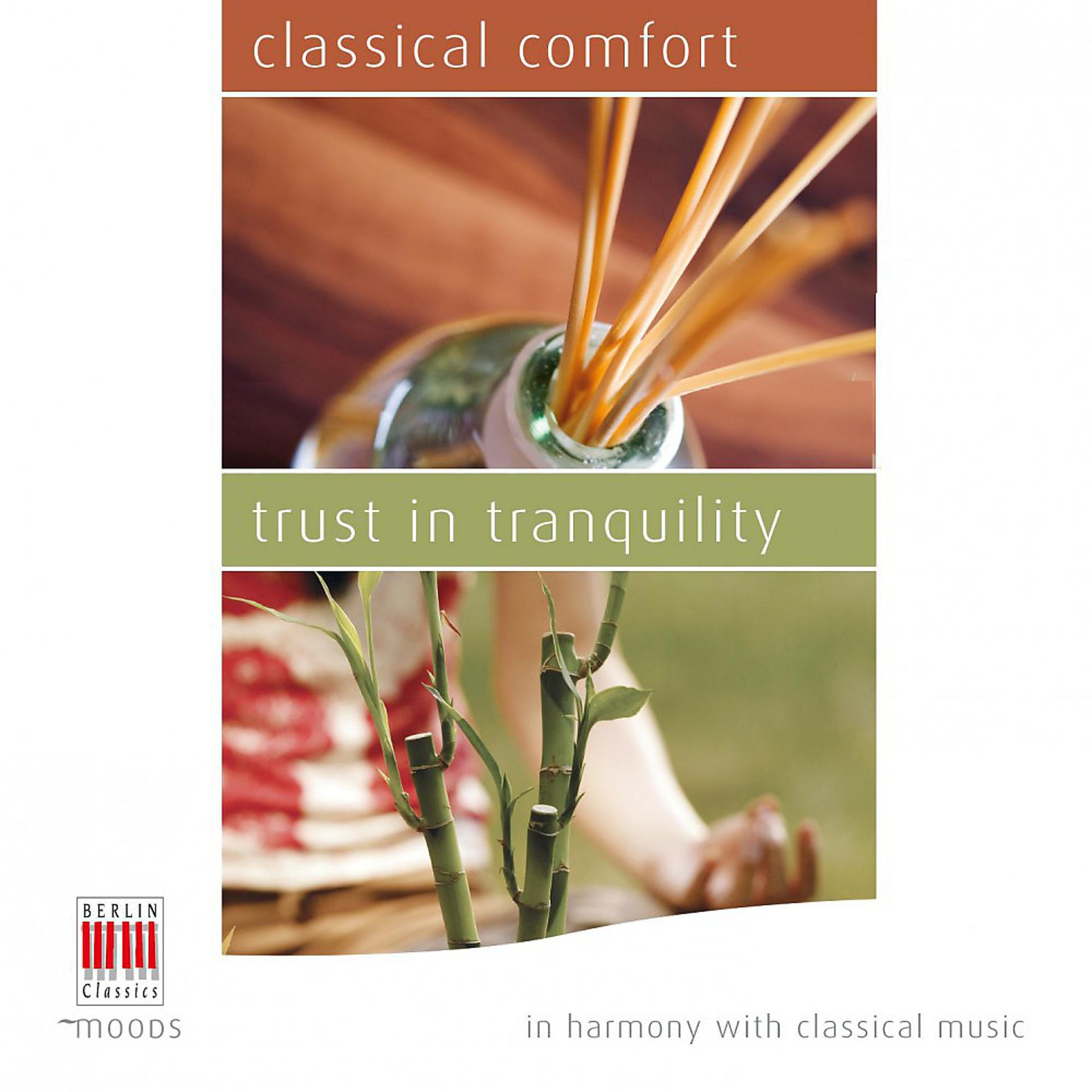 Постер альбома Classical Comfort - Trust in Tranquility (In Harmony with Classical Music)